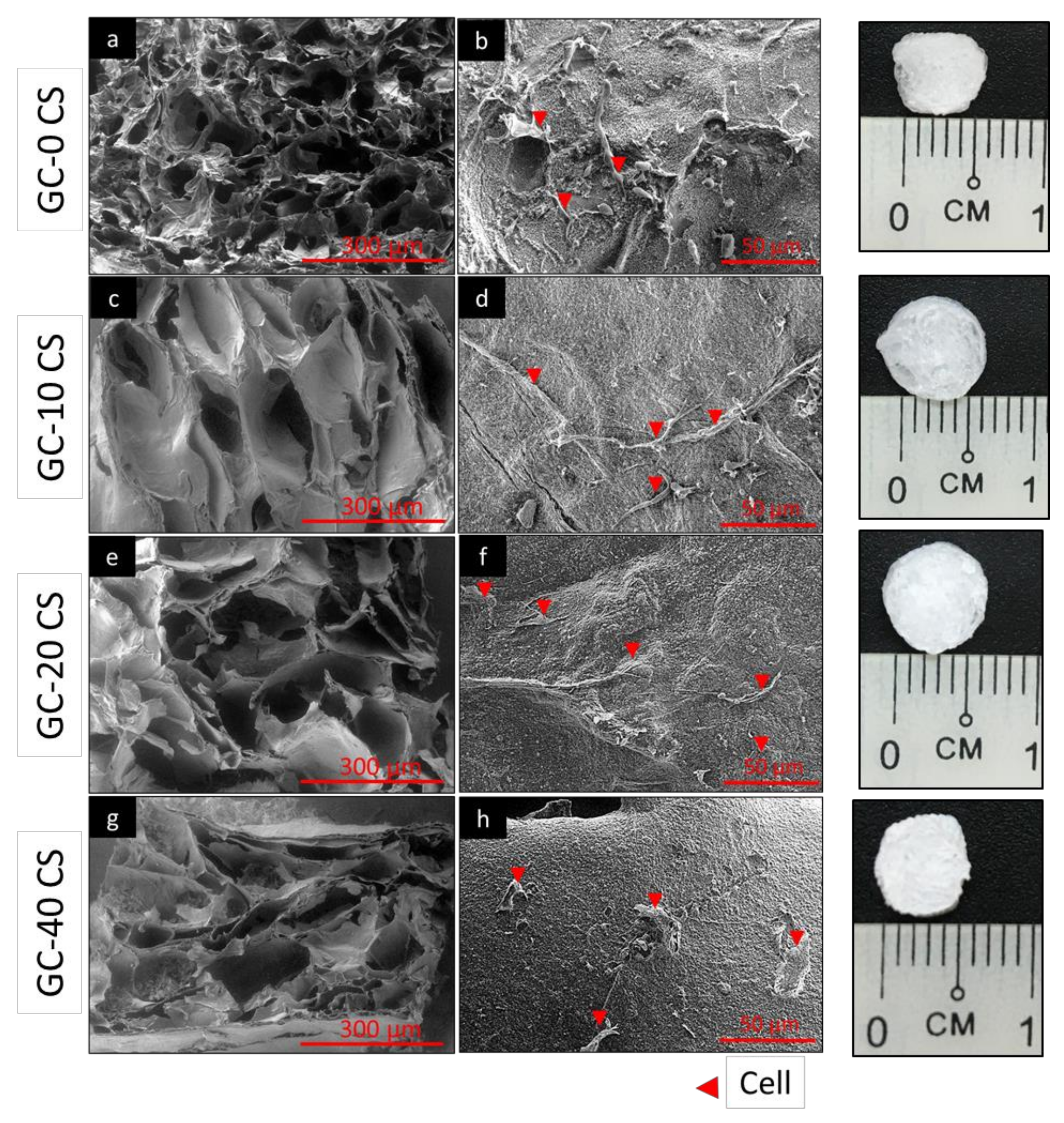 Full article: Multi-drug delivery and osteogenic performance of  β-tricalcium phosphate/alginate composite microspheres