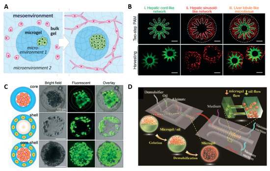 Polymers Free Full Text How Microgels Can Improve The Impact Of Organ On Chip And Microfluidic Devices For 3d Culture Compartmentalization Single Cell Encapsulation And Control On Cell Fate