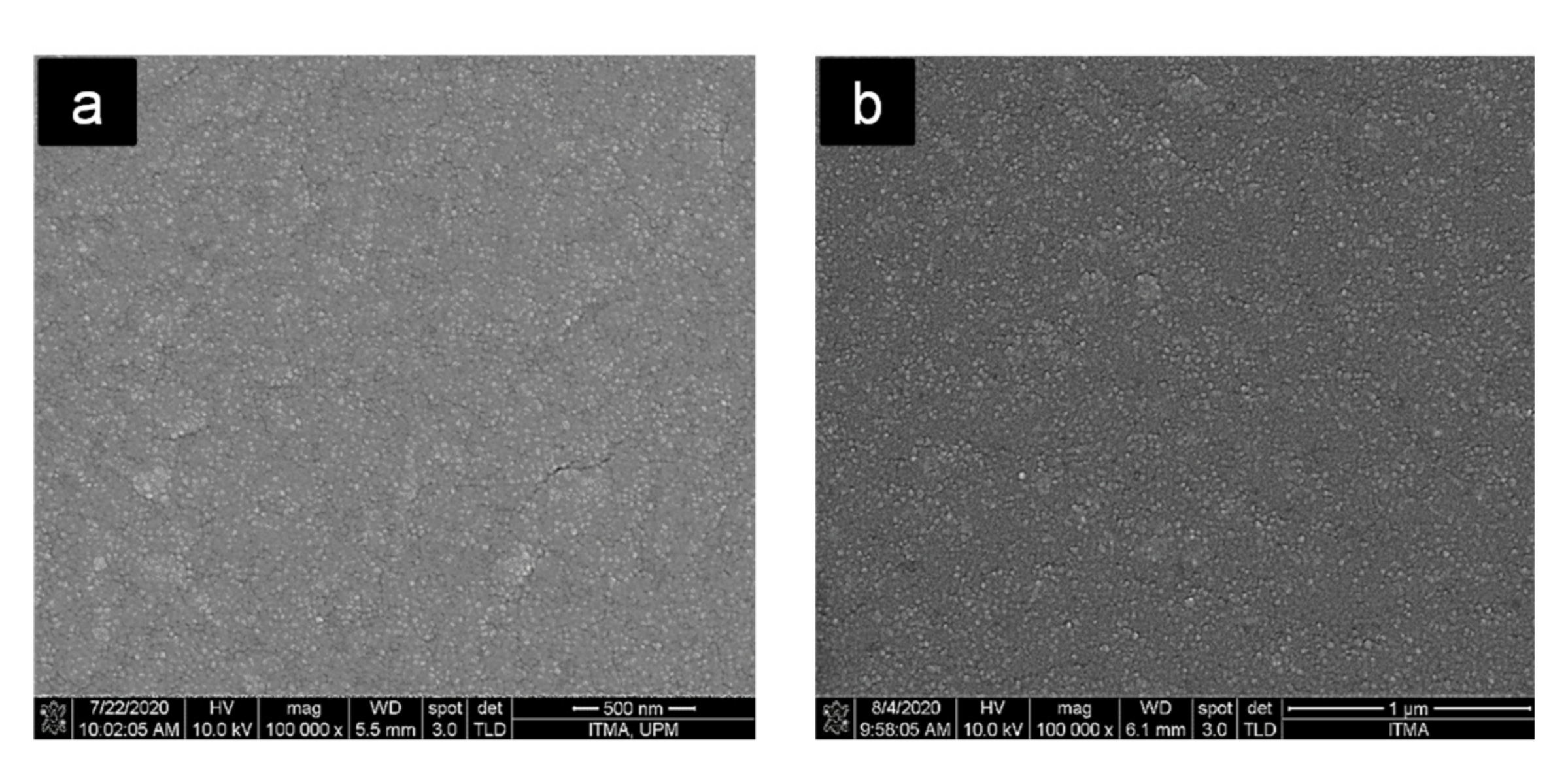 Polymers 13 03226 g008a