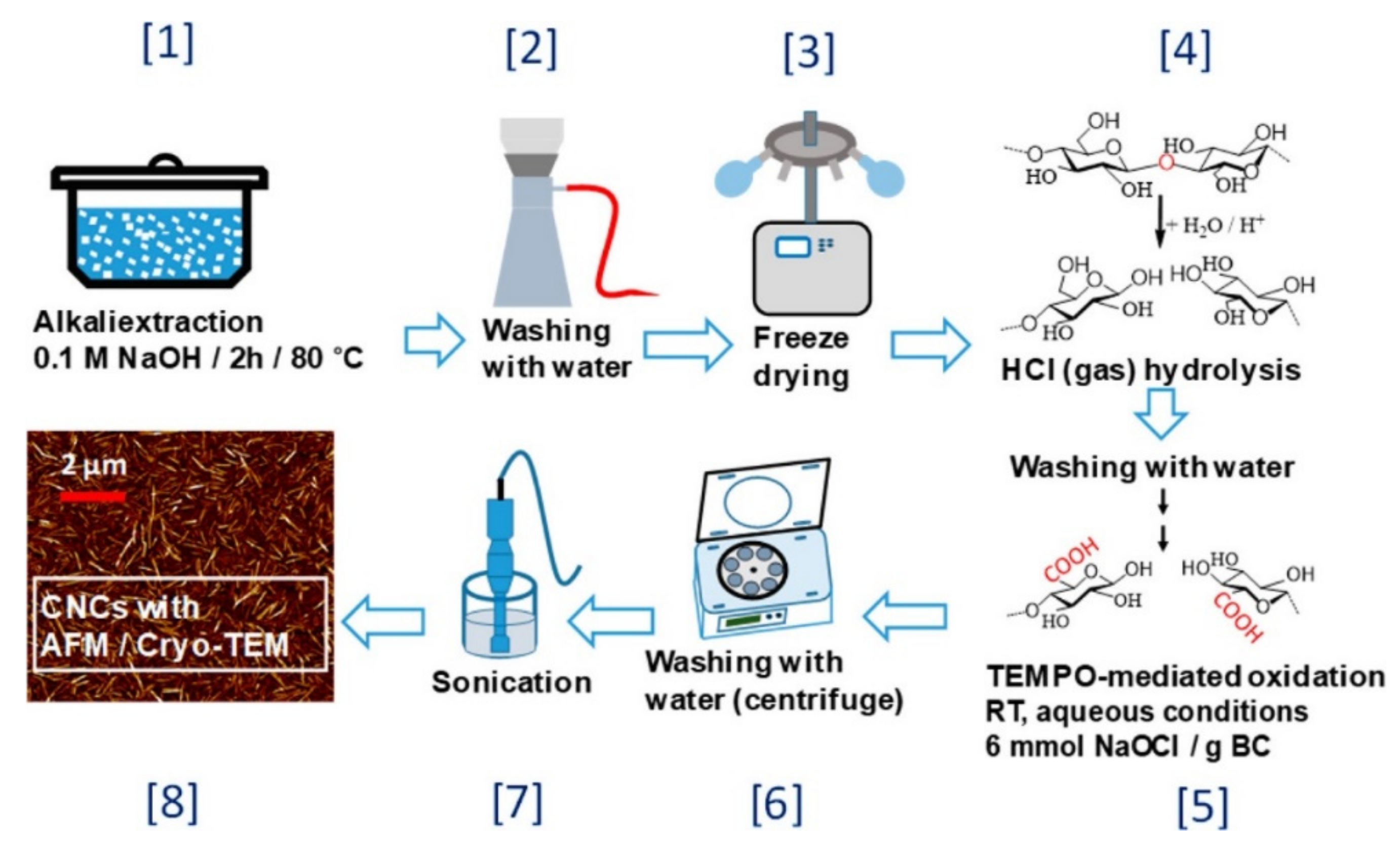 Polymers | Free Full-Text | Recent Advances On Cellulose Nanocrystals ...