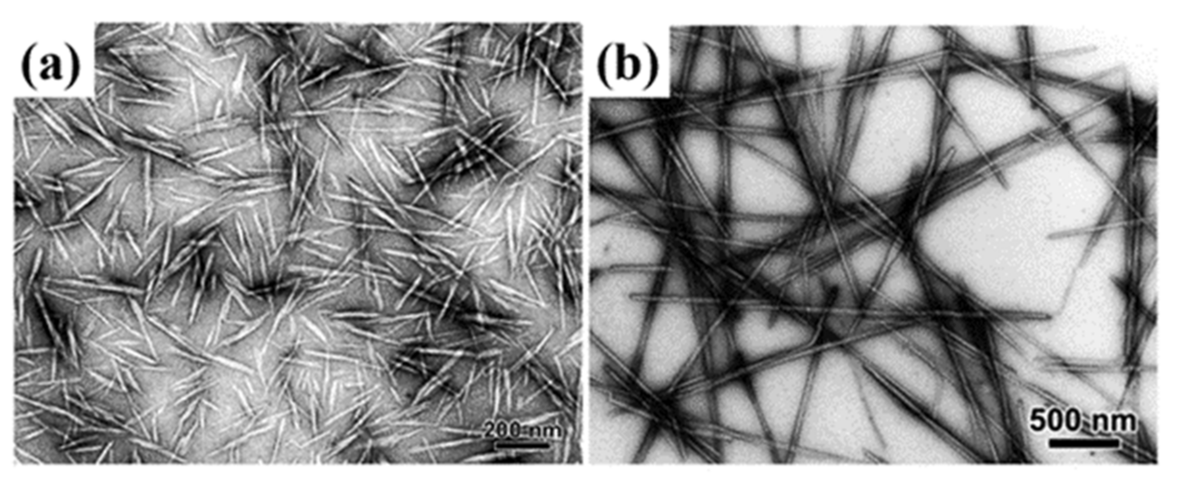 Polymers 13 03247 g003
