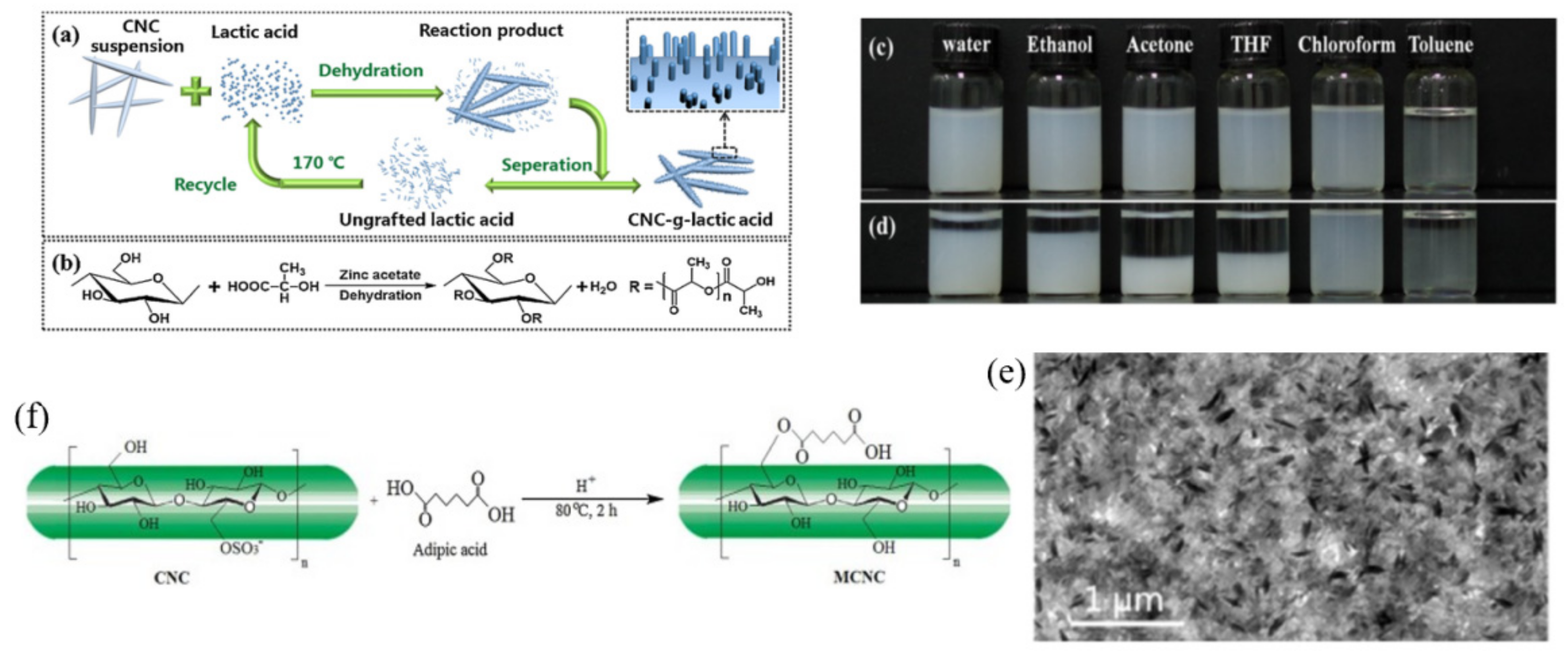 Polymers 13 03247 g005