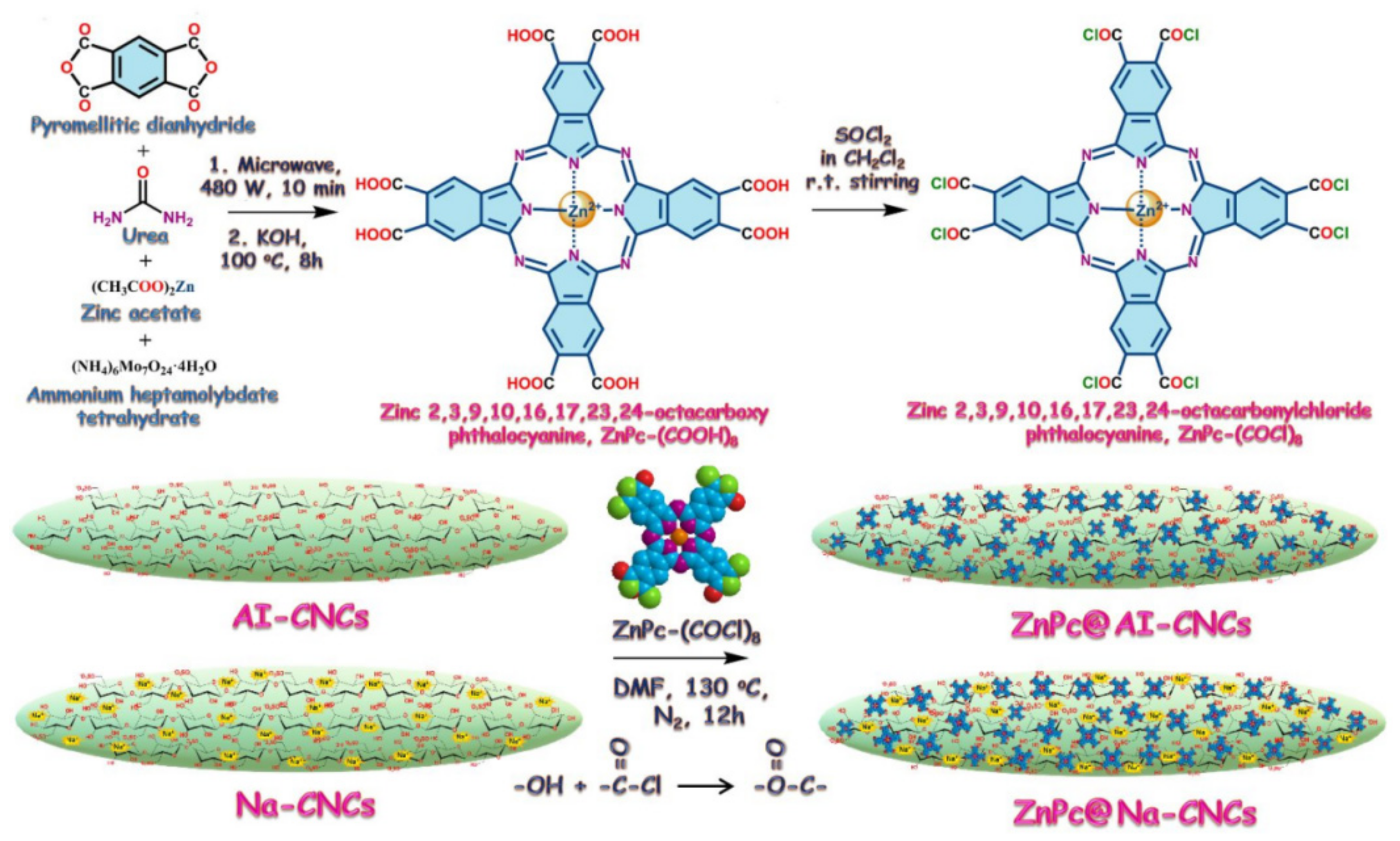 Polymers 13 03247 g008