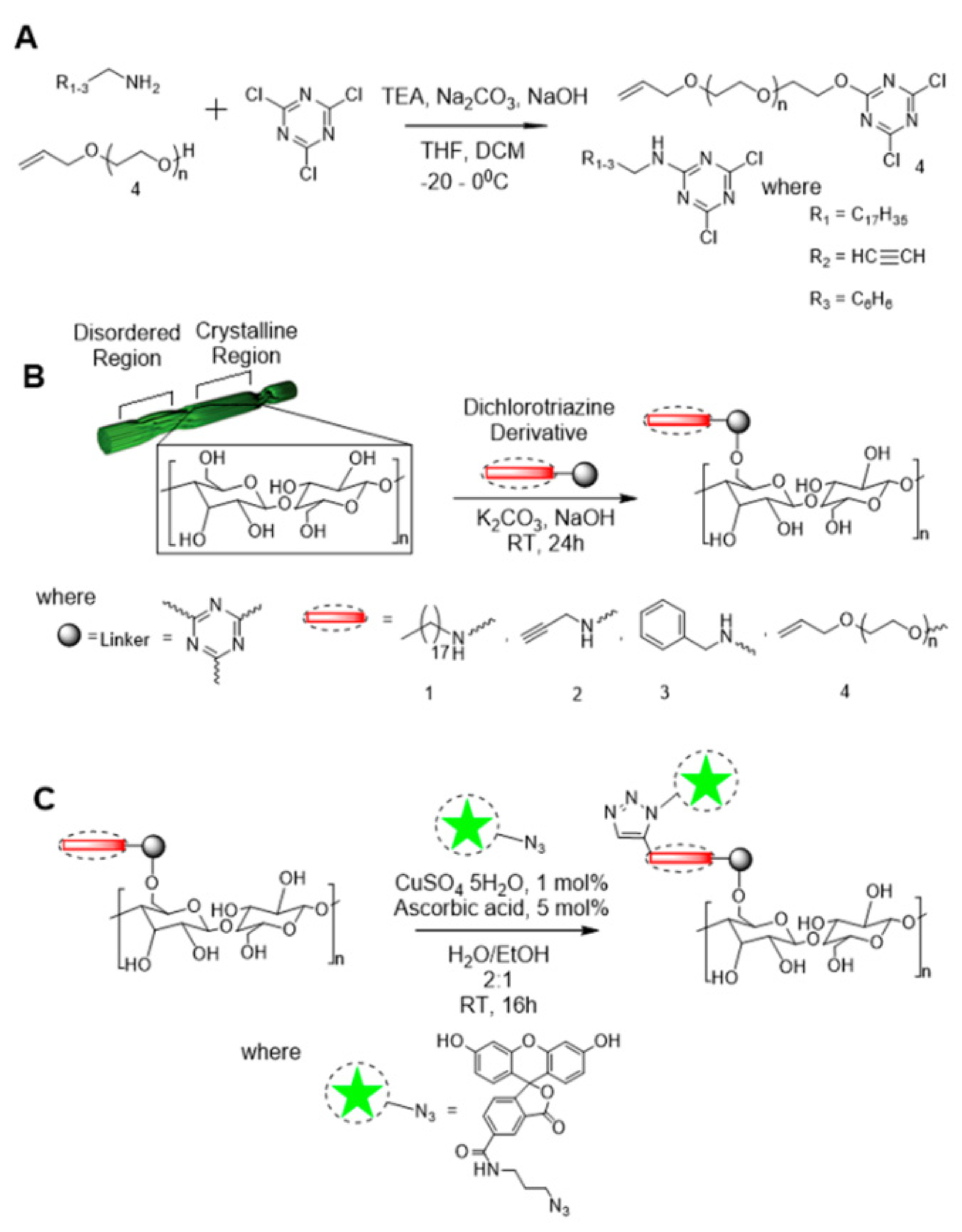 Polymers 13 03247 g012