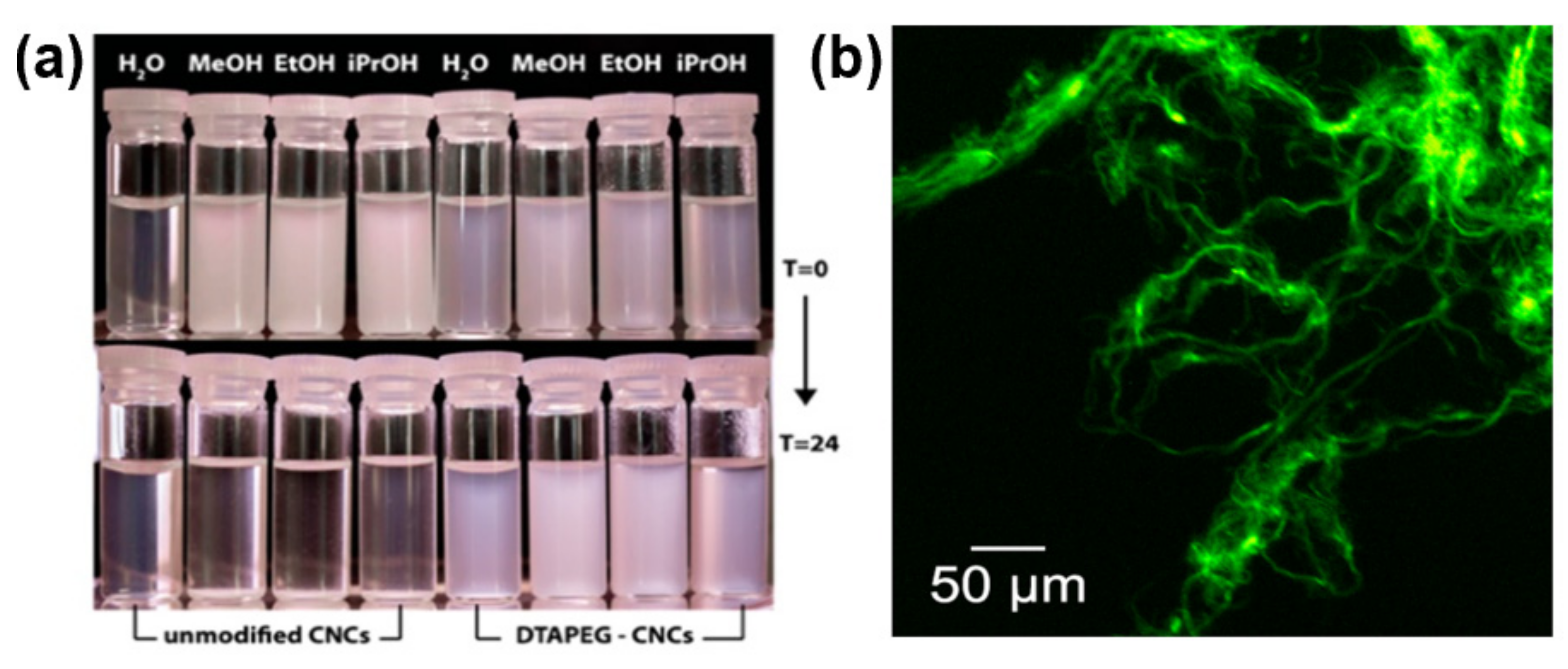 Polymers 13 03247 g013