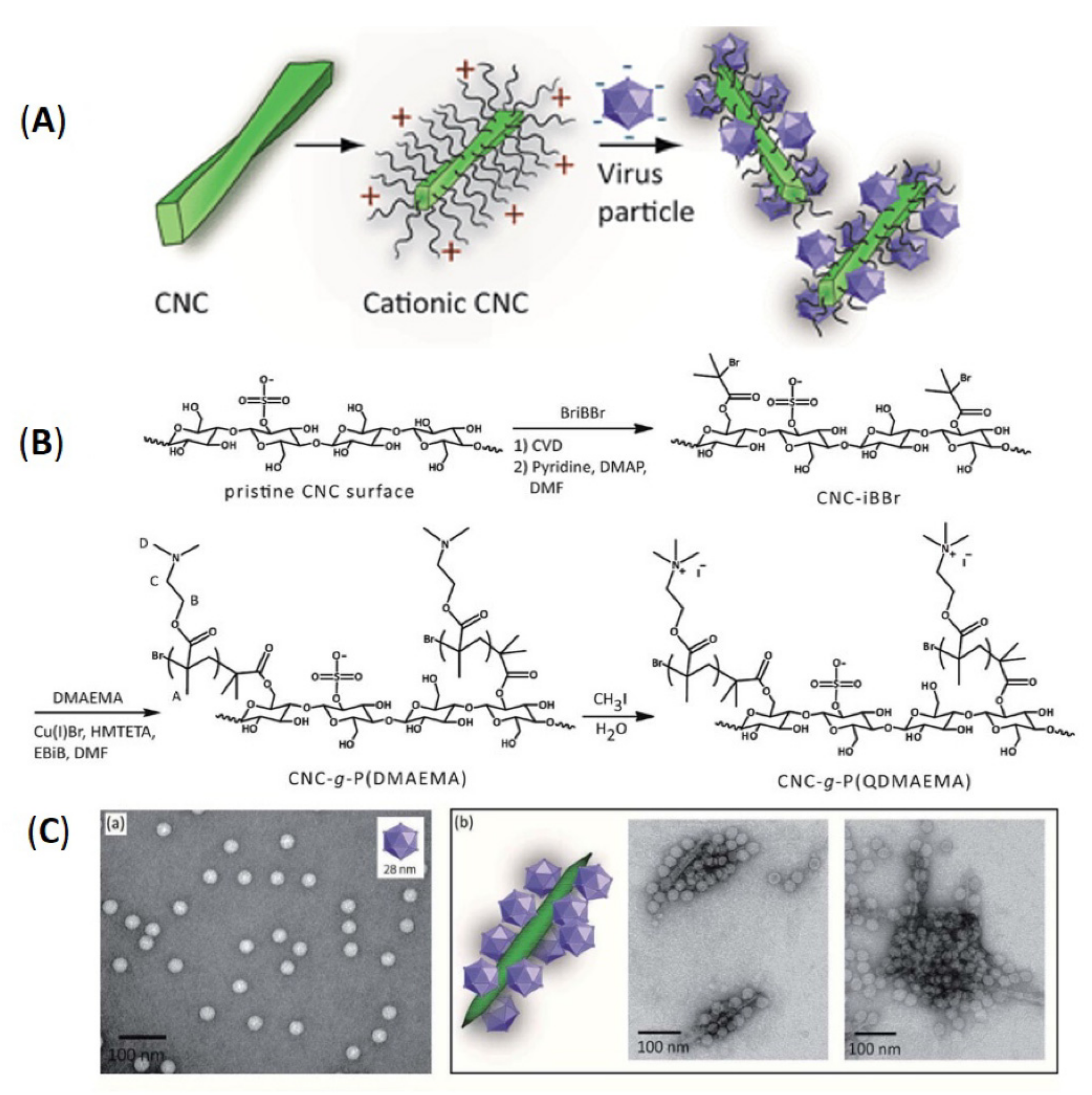 Polymers 13 03247 g014