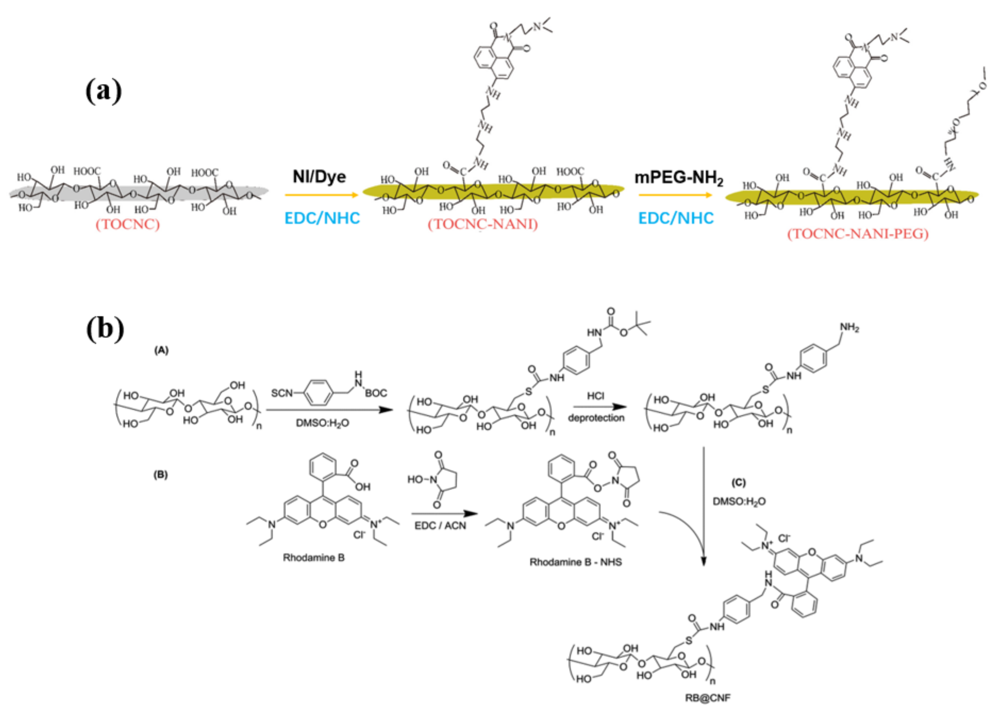 Polymers 13 03247 g017
