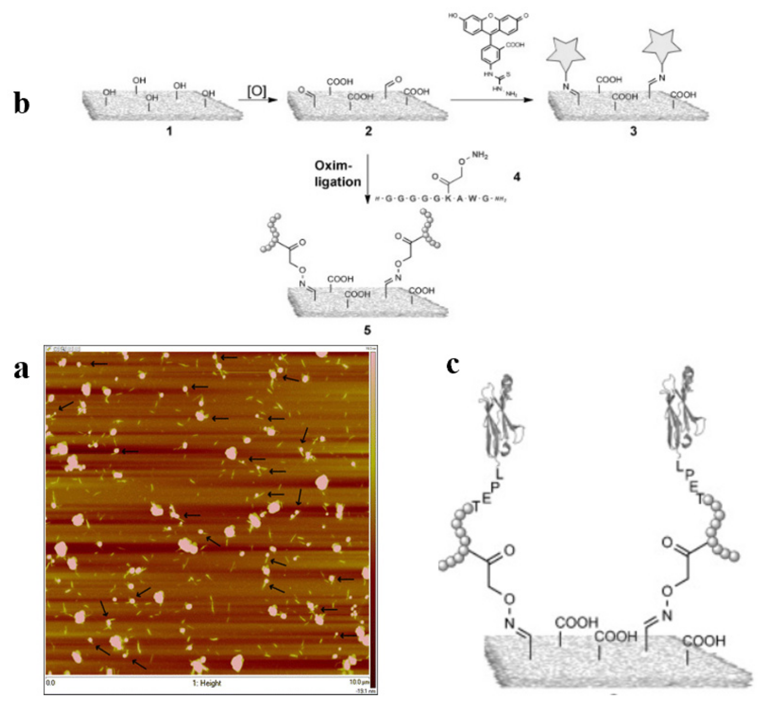 Polymers 13 03247 g020