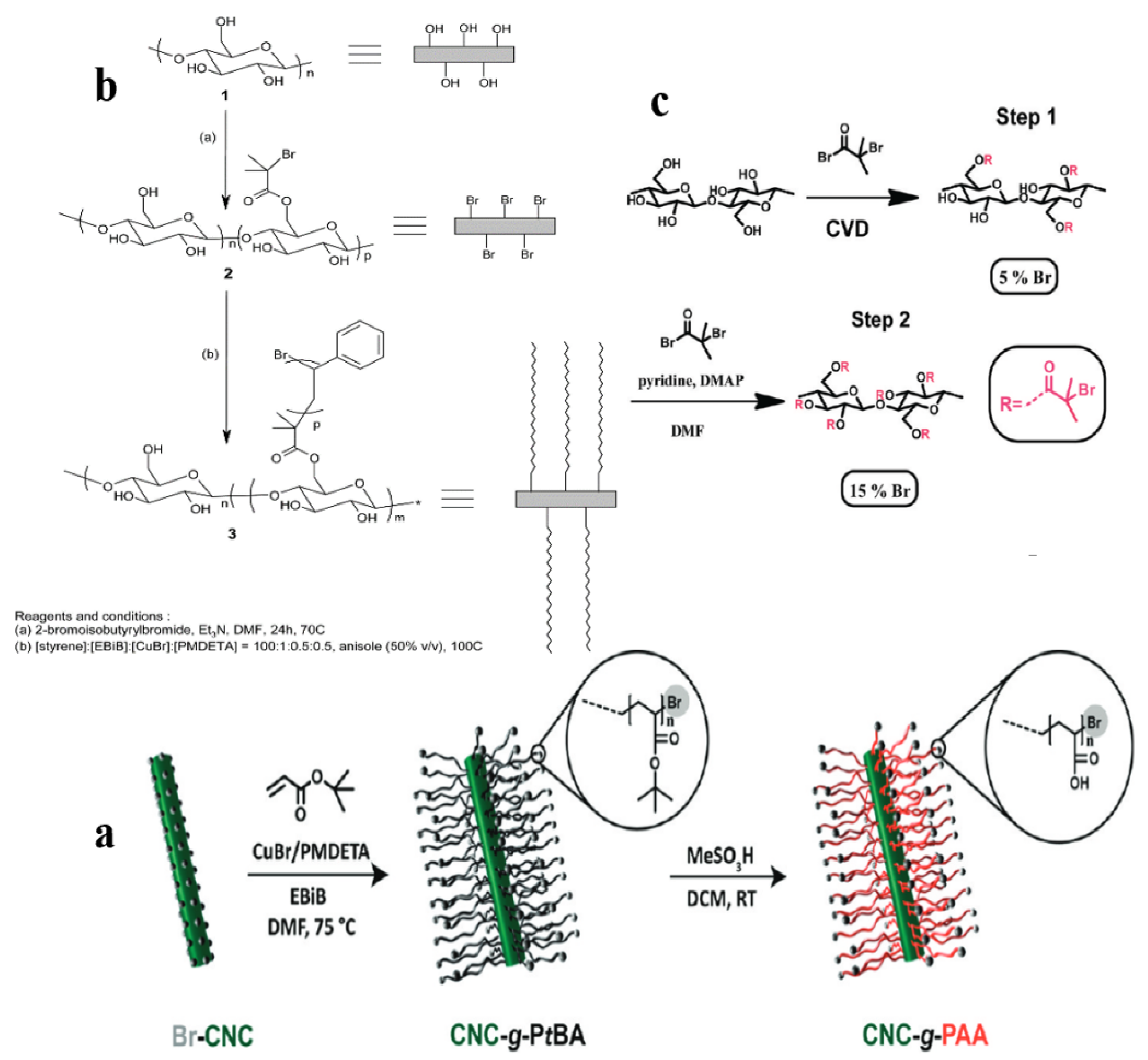 Polymers 13 03247 g023