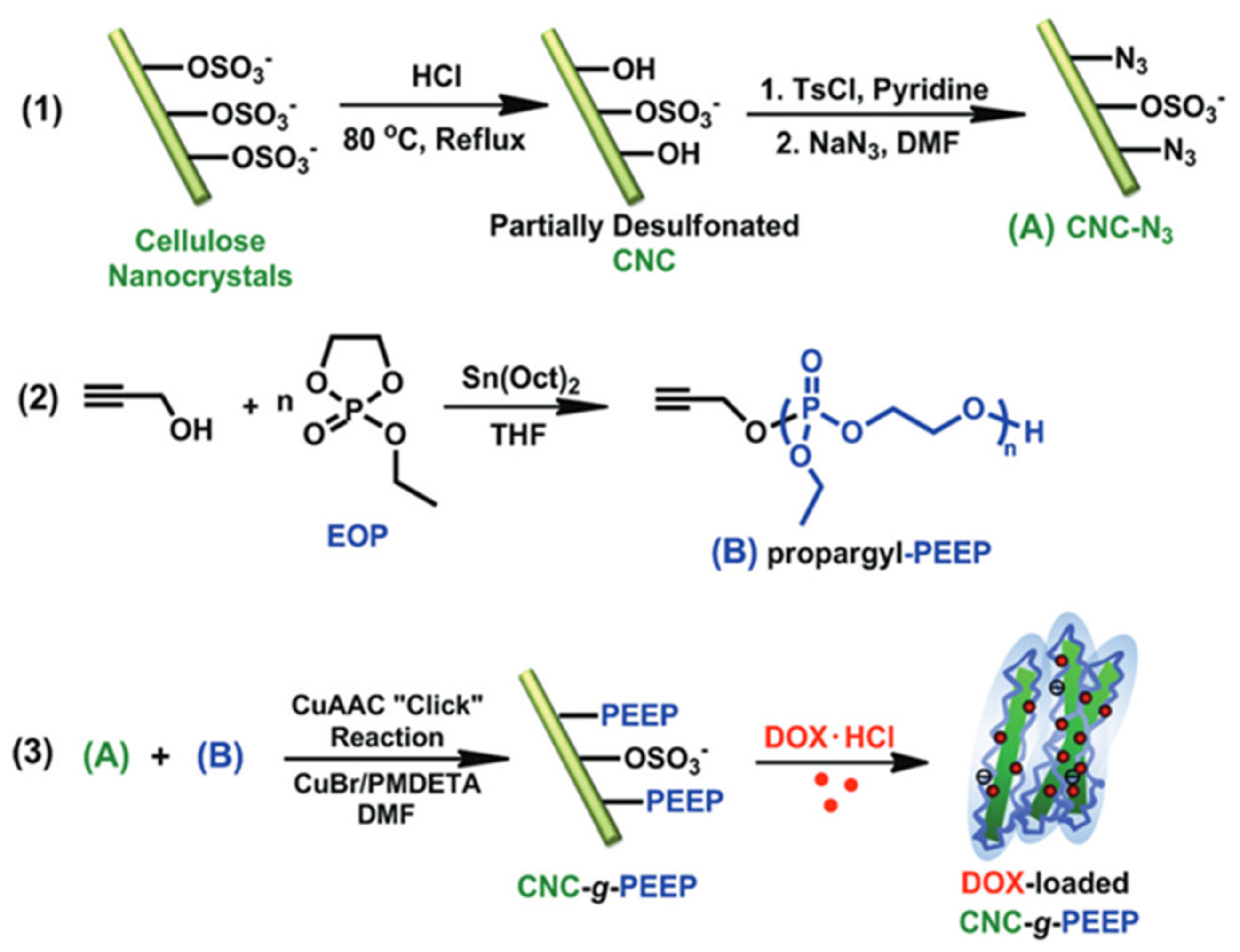 Polymers 13 03247 g029