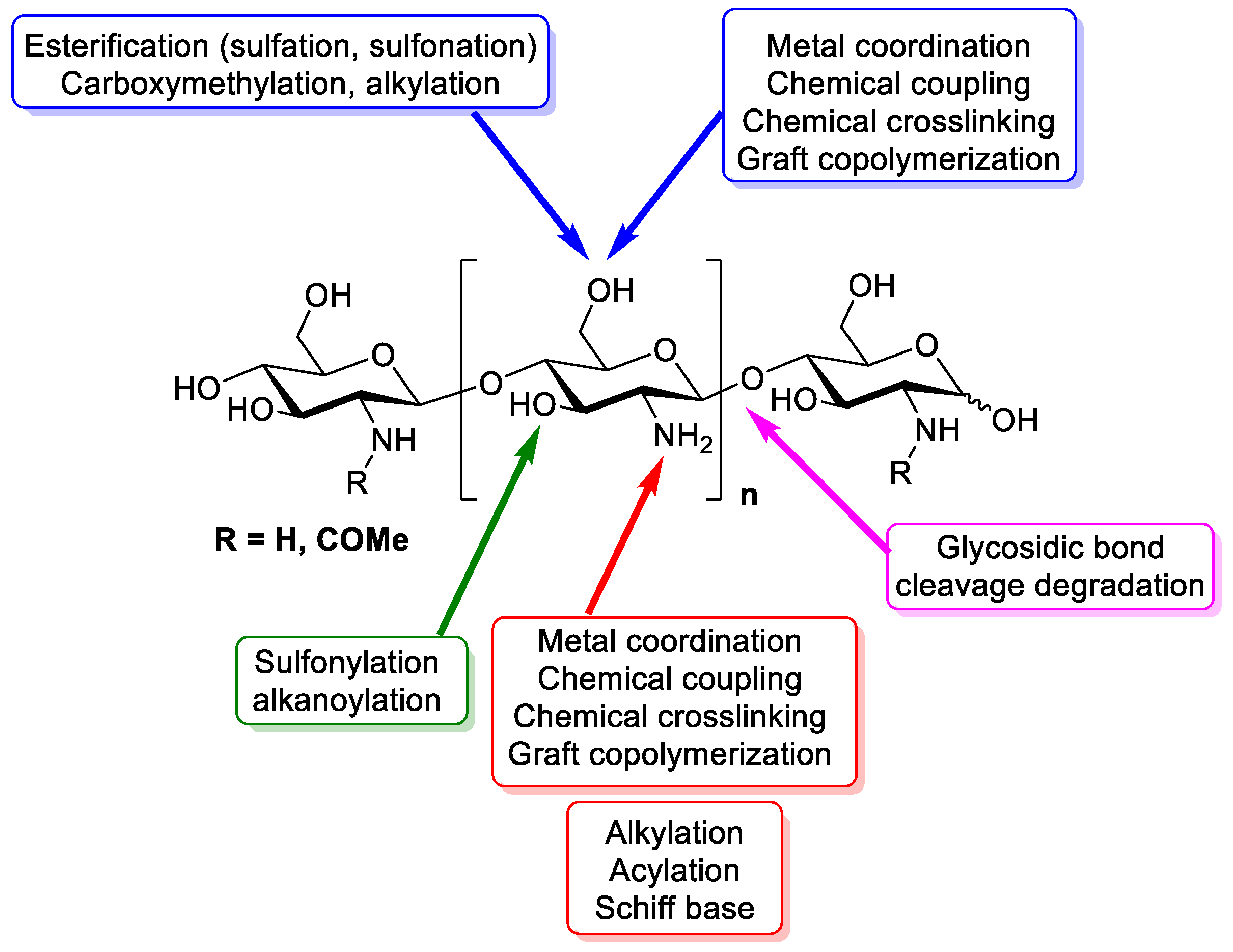 Polymers 13 03256 g001