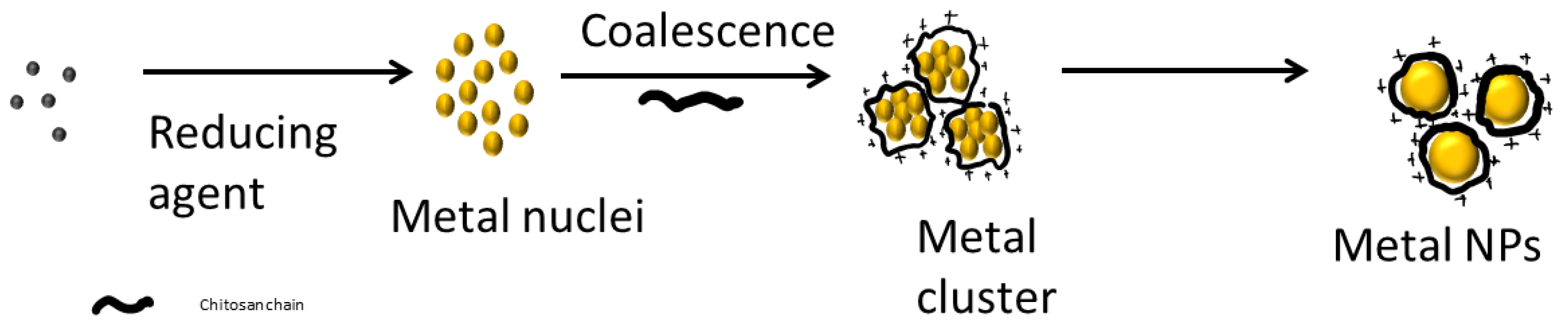 Polymers 13 03256 g004