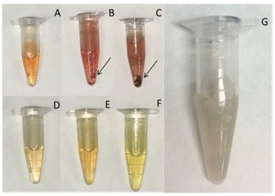 Polymers | Free Full-Text | Chitosan: An Overview of Its Properties and ...