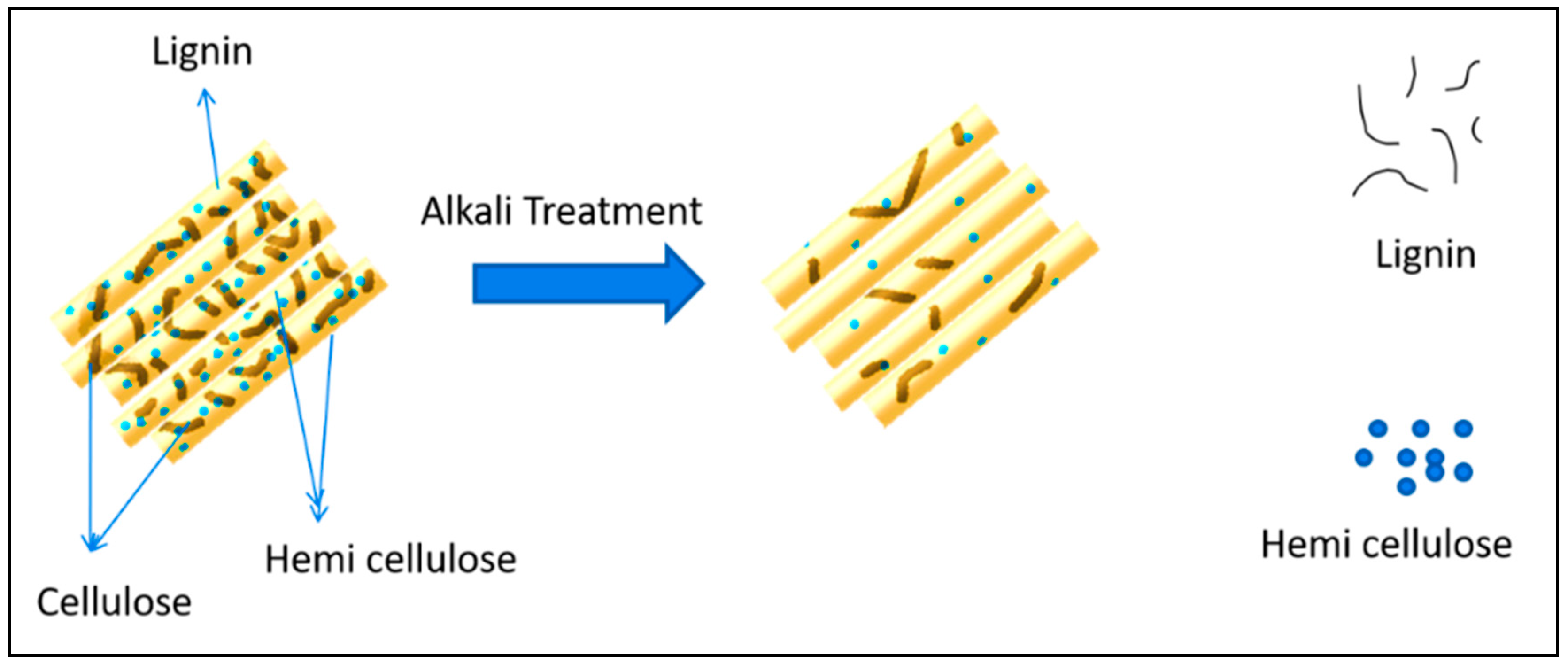 Polymers 13 03260 g002