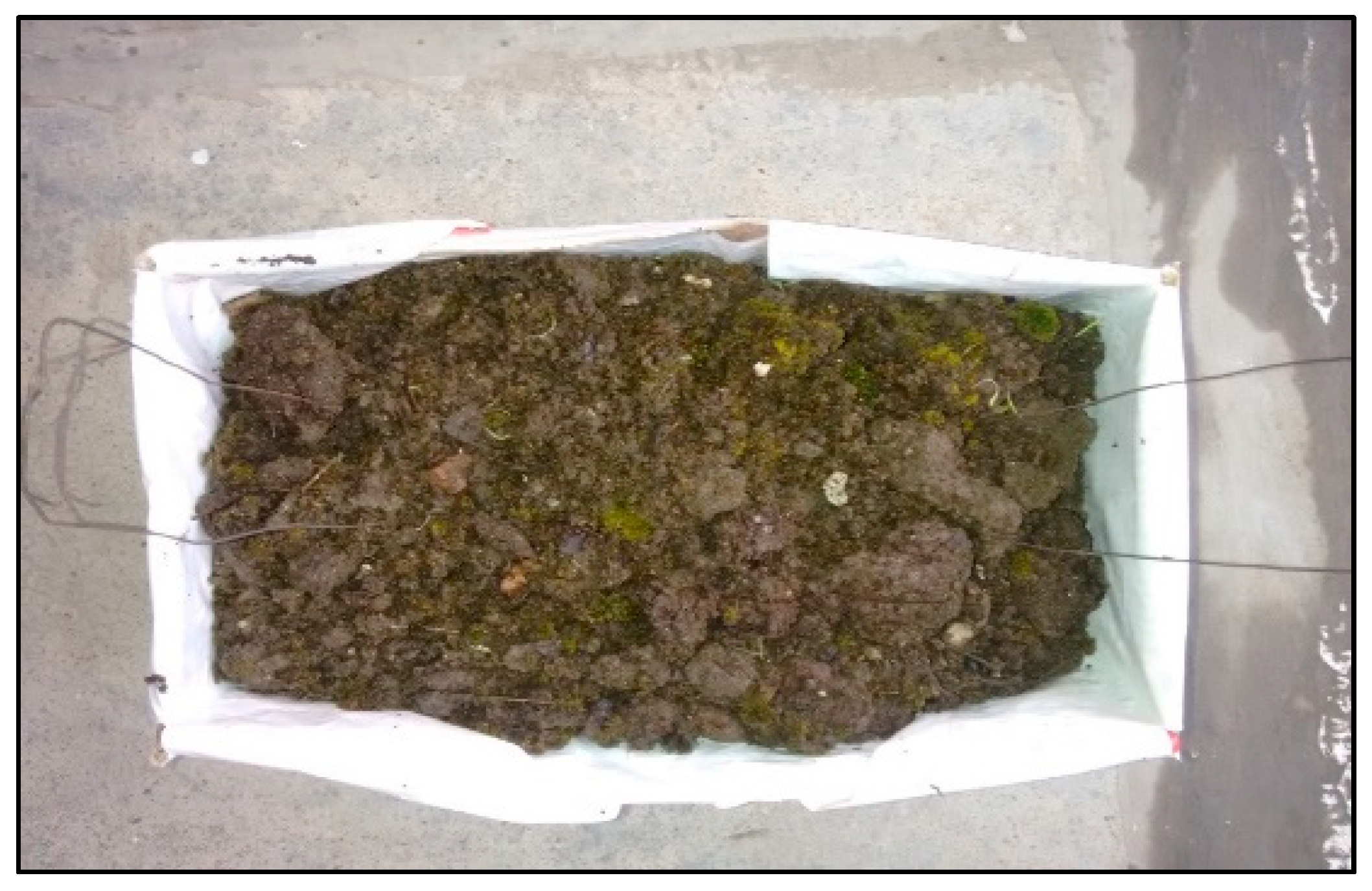 Polymers 13 03260 g003