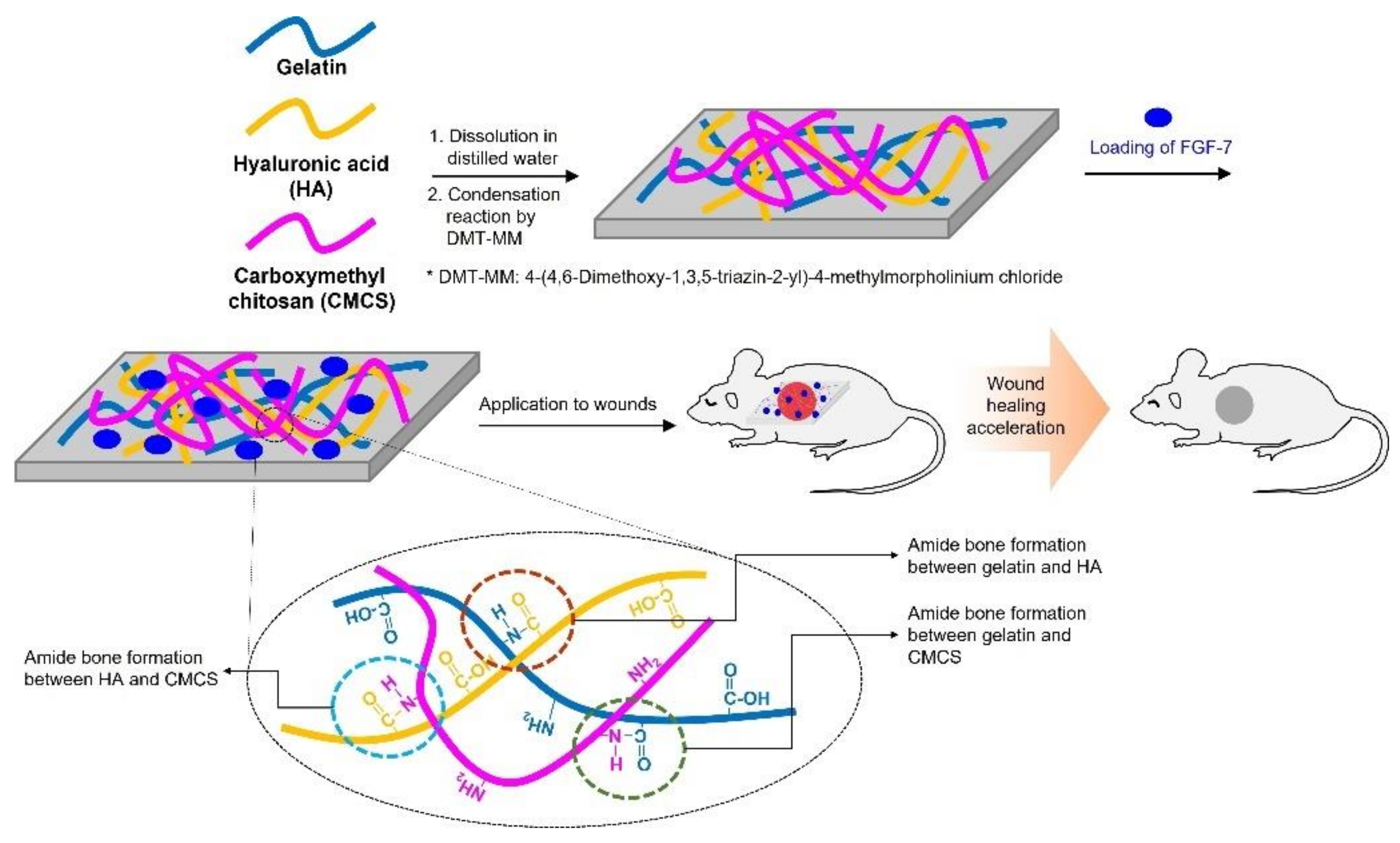 Polymers 13 03279 g001