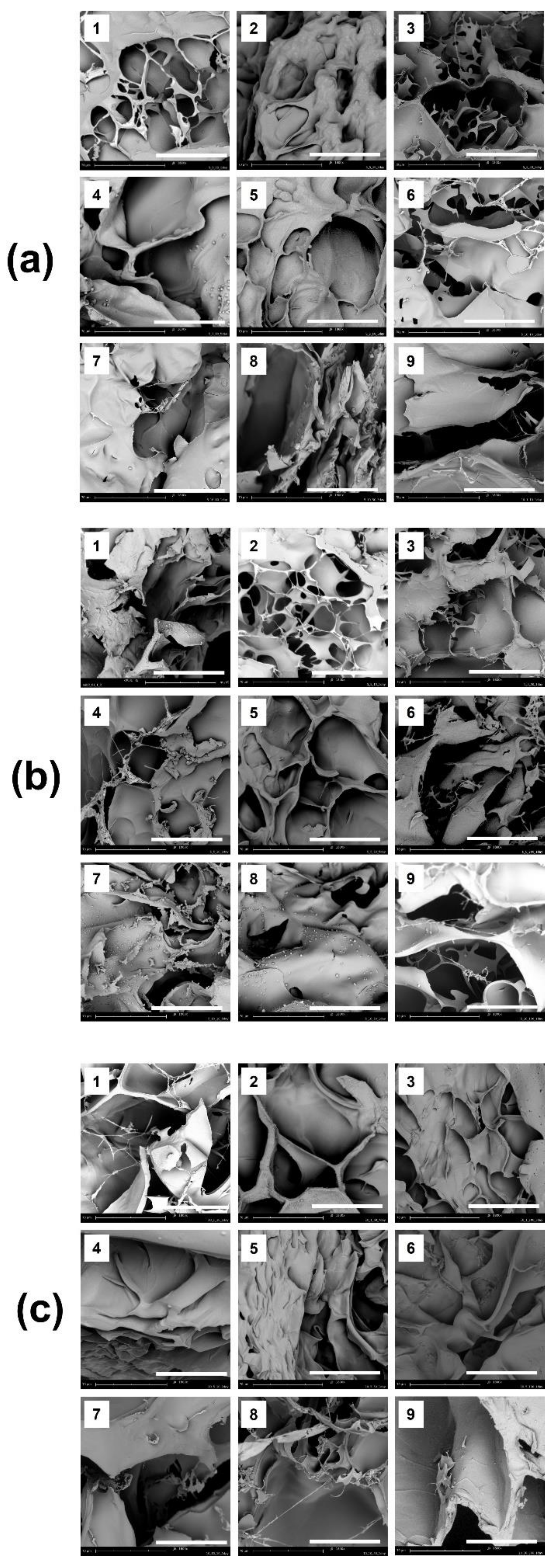 Polymers 13 03279 g002