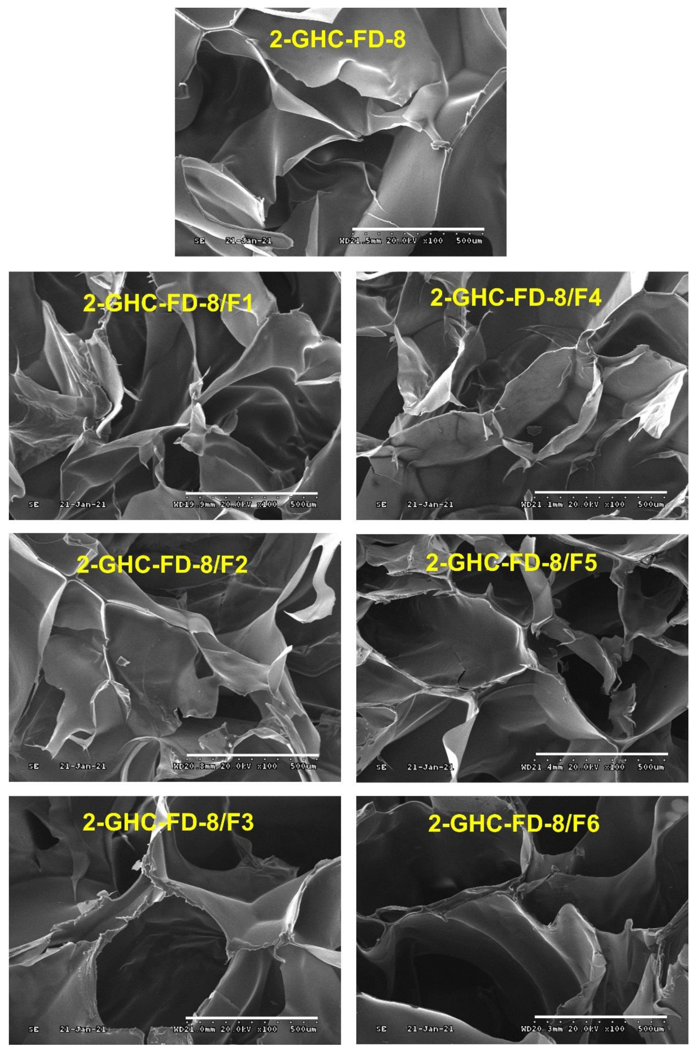 Polymers 13 03279 g007