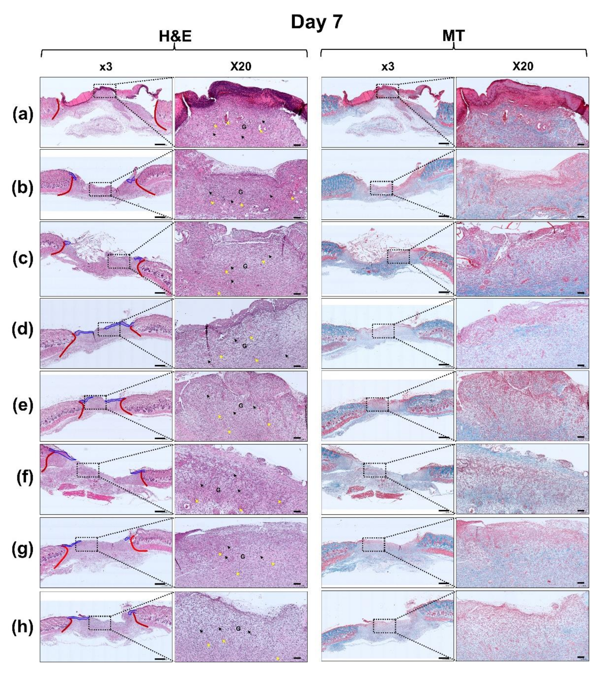 Polymers 13 03279 g011a