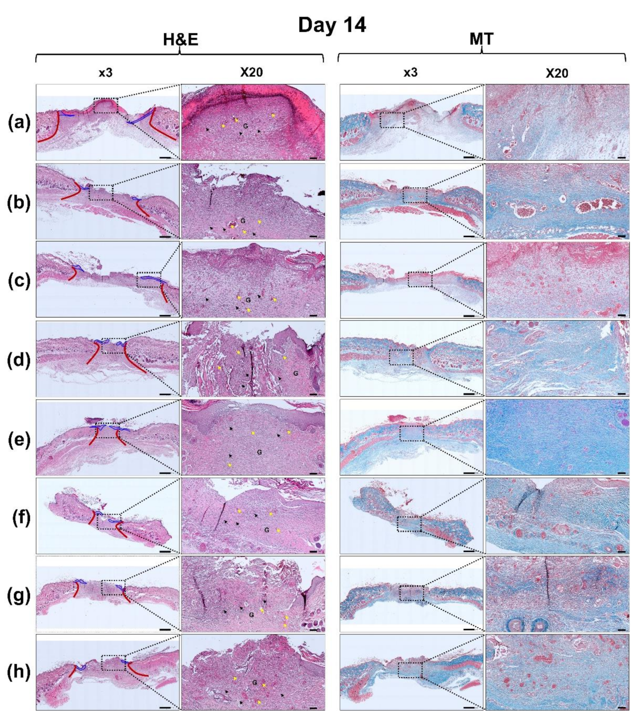 Polymers 13 03279 g011b