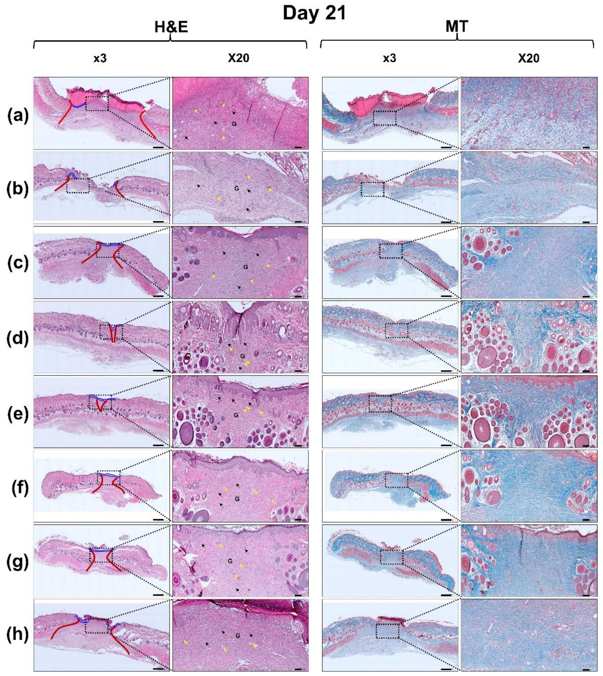 Polymers 13 03279 g011c