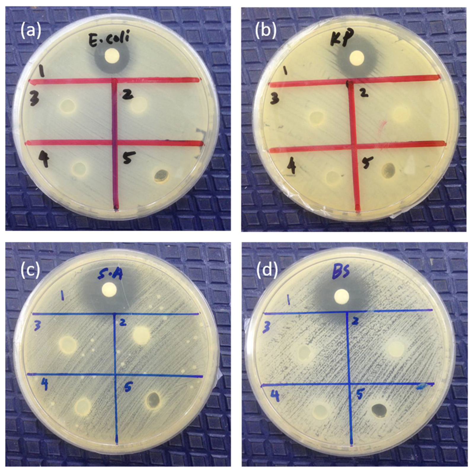 Polymers  Free Full-Text  Gellan Gum Hydrogels Filled Edible Oil 