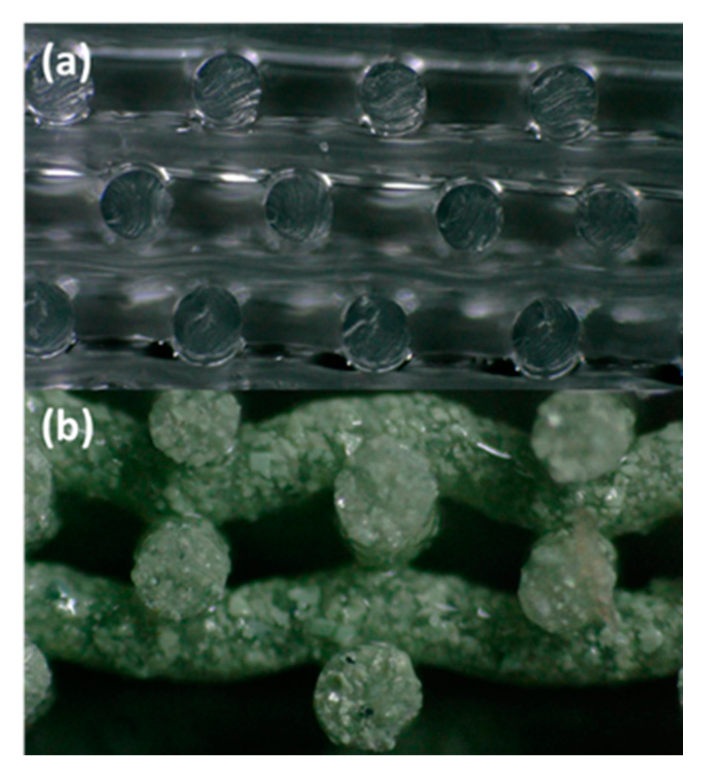 Polymers 13 03284 g004