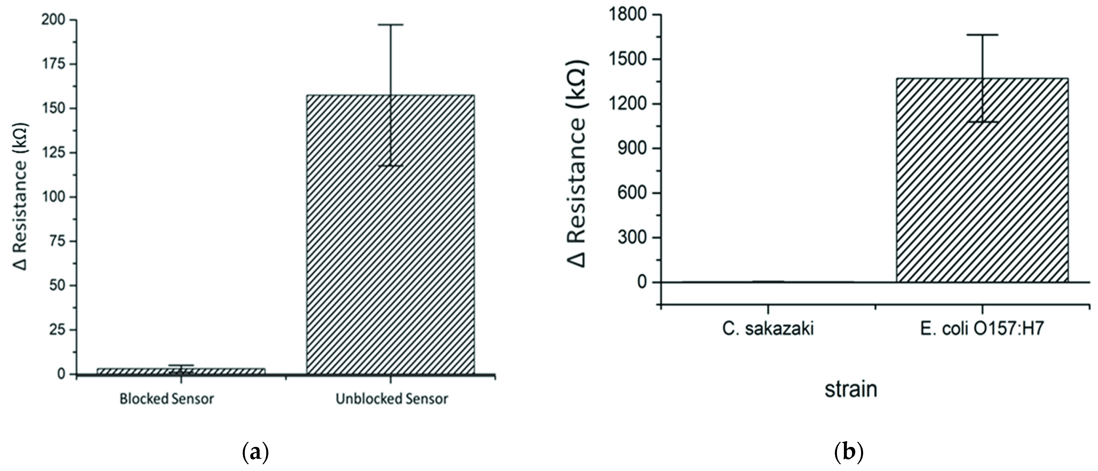 Polymers 13 03288 g005