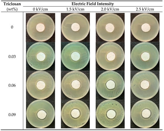 Fabrication of Fiber Filters with Antibacterial Properties for VOC