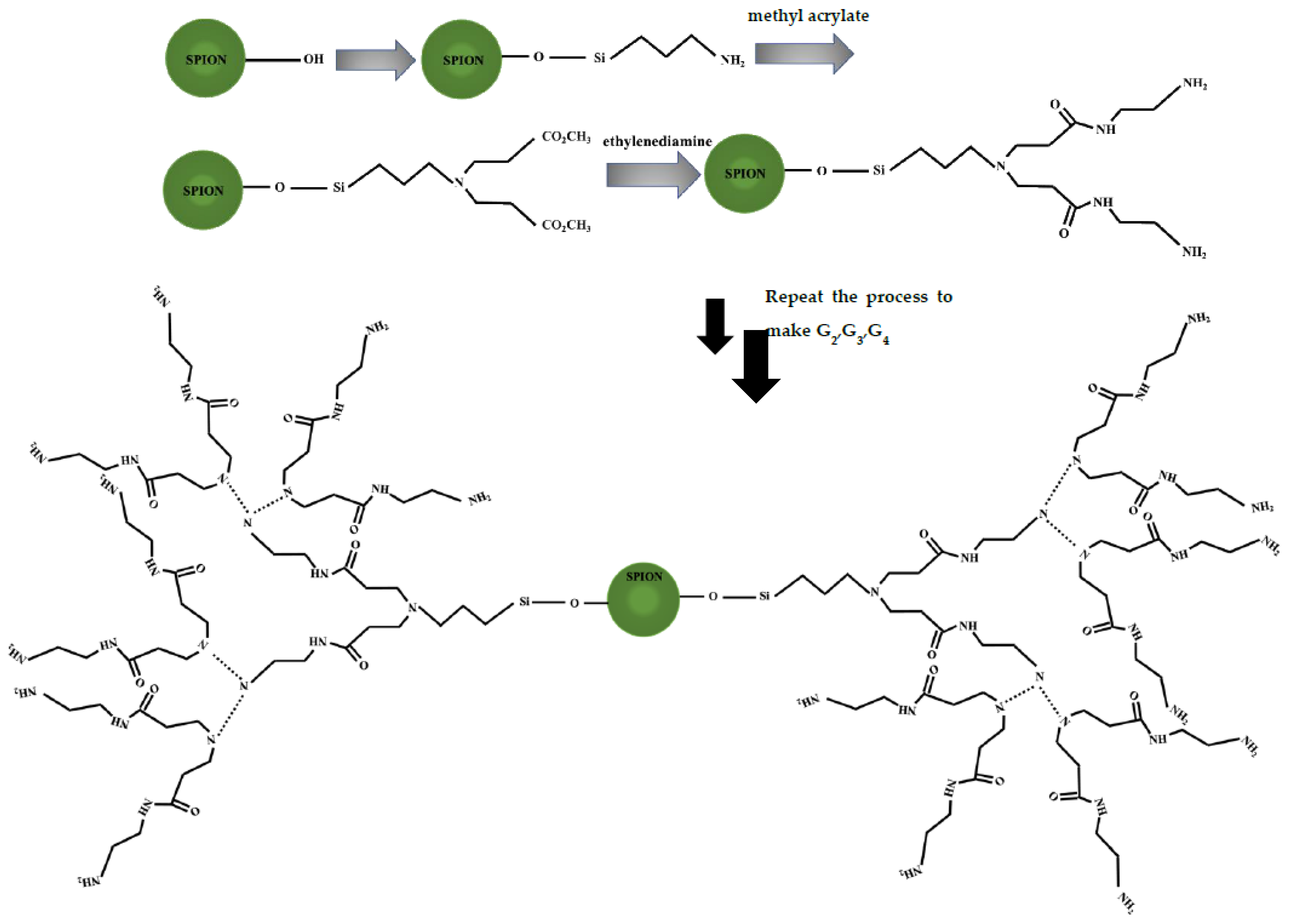 Polymers 13 03306 g001 Polymers 13 03306 g001