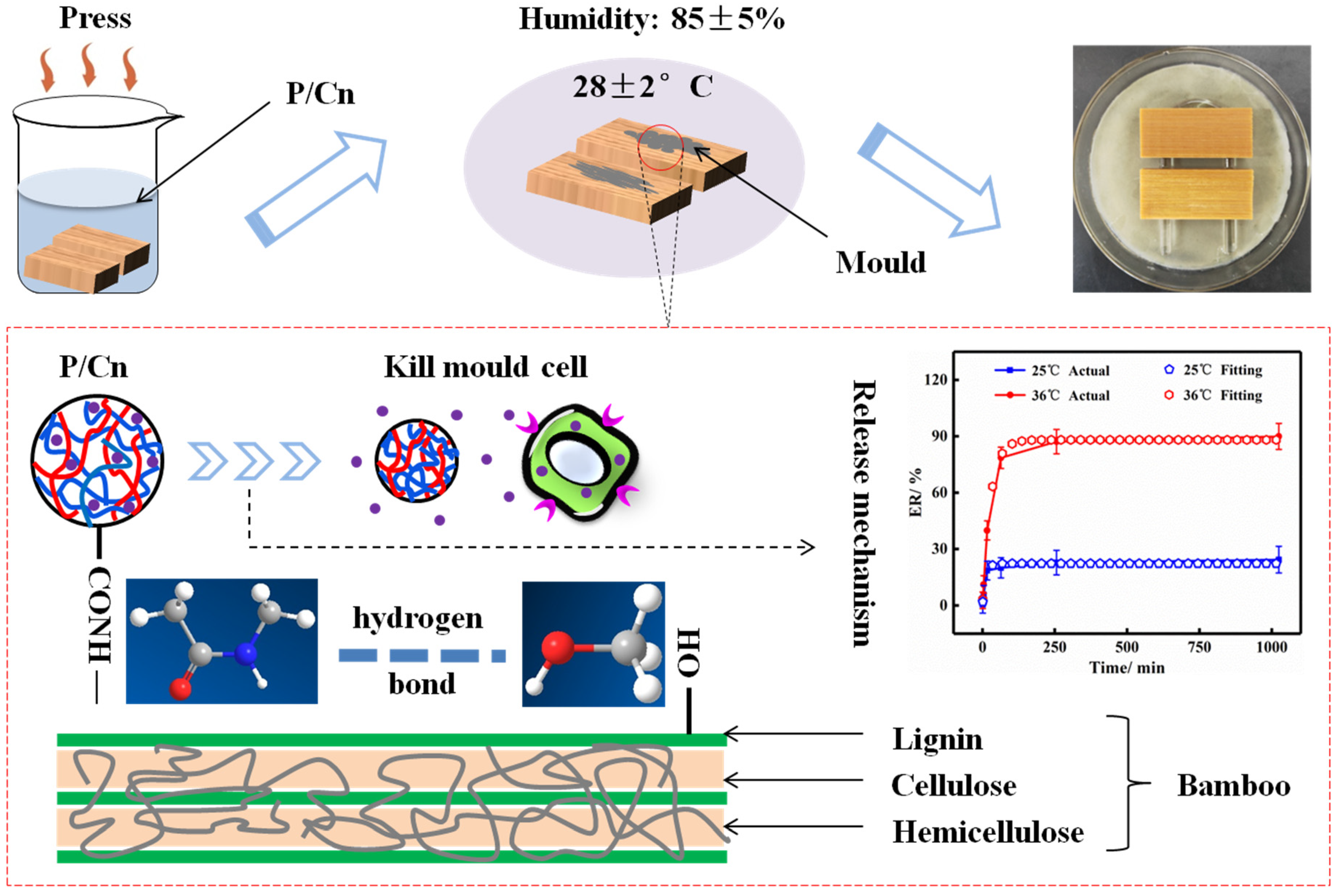 Polymers 13 03314 g001