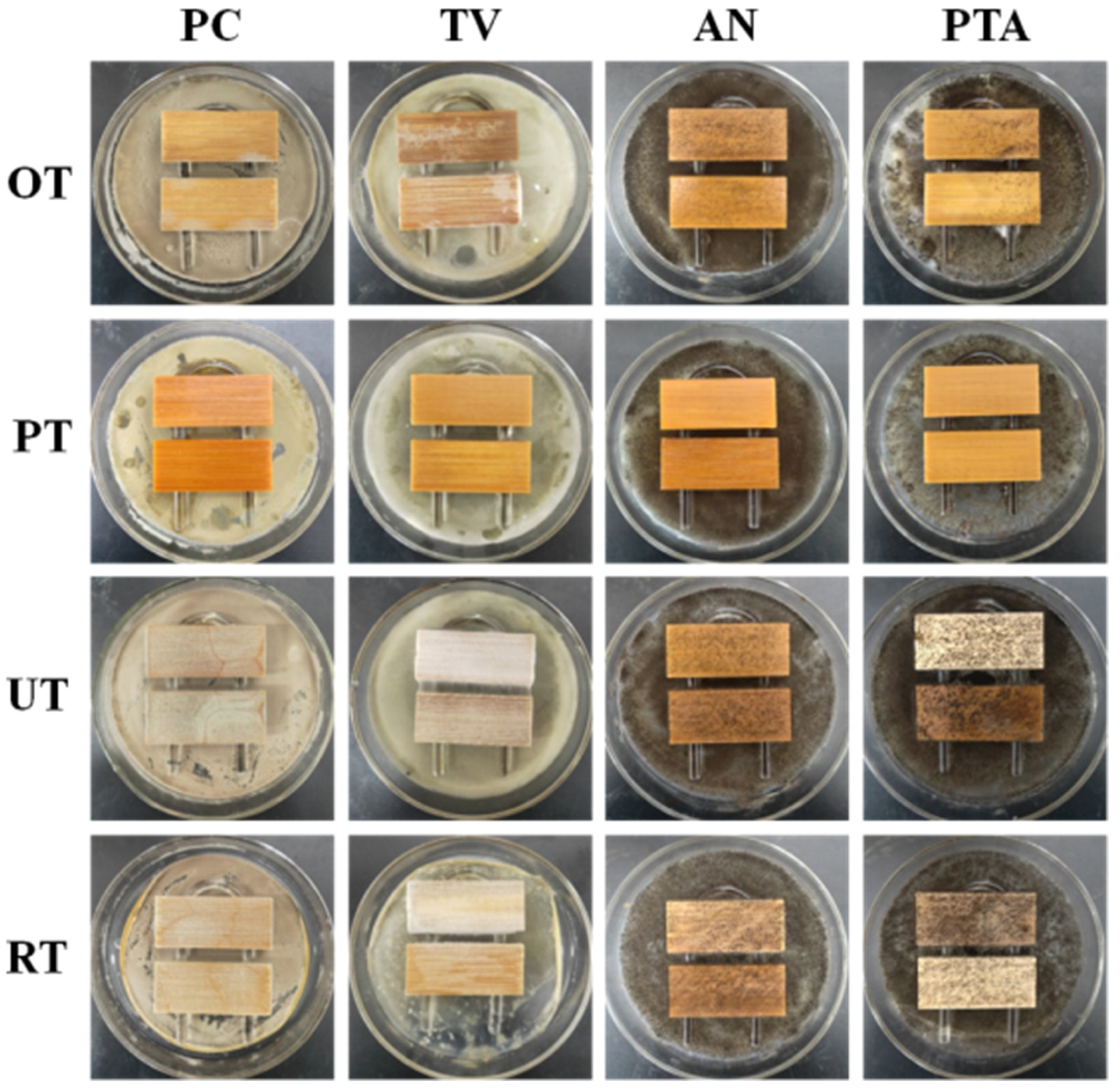 Polymers 13 03314 g008