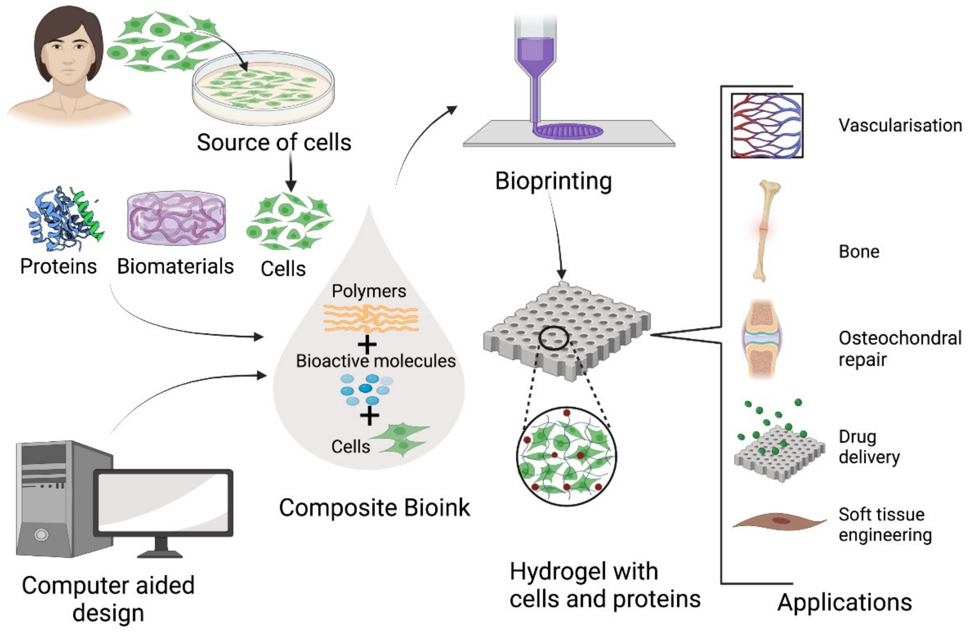 Polymers | Free Full-Text | Nature-Based Biomaterials And Their ...