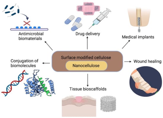 Polymeric Biomaterials for Medical Implants and Devices