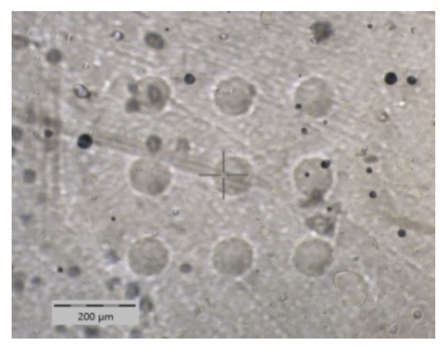 Polymers 13 03328 g001