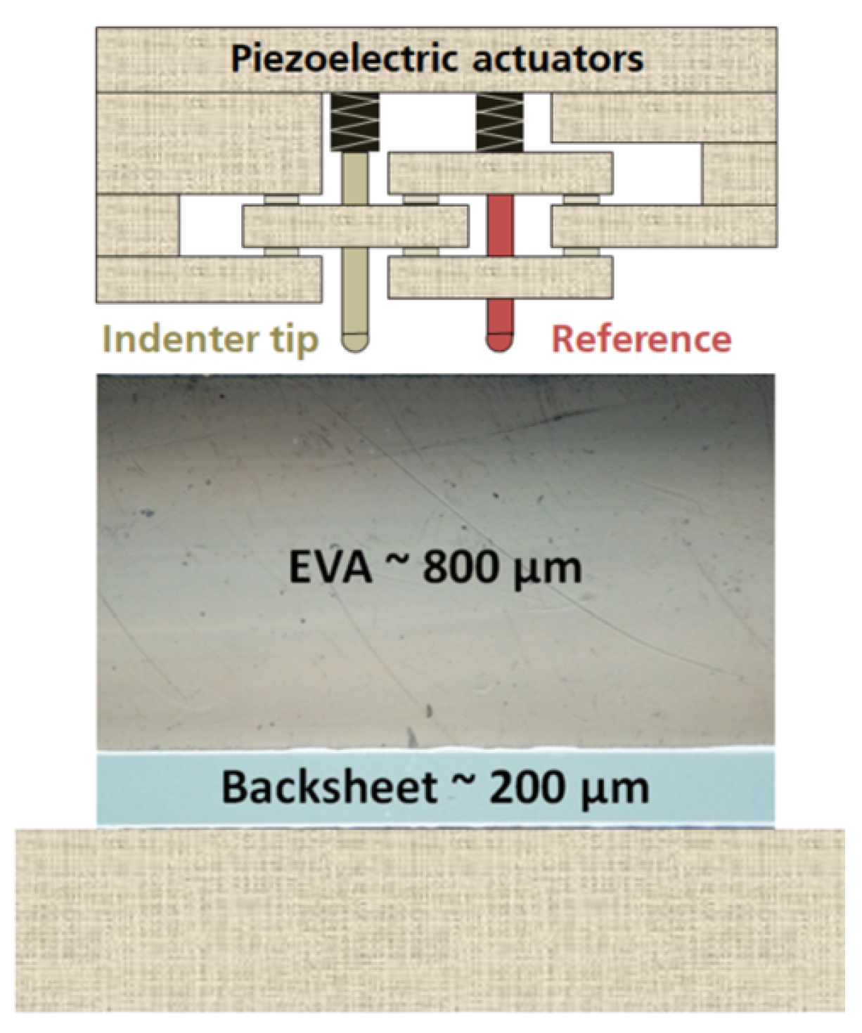 Polymers 13 03328 g002