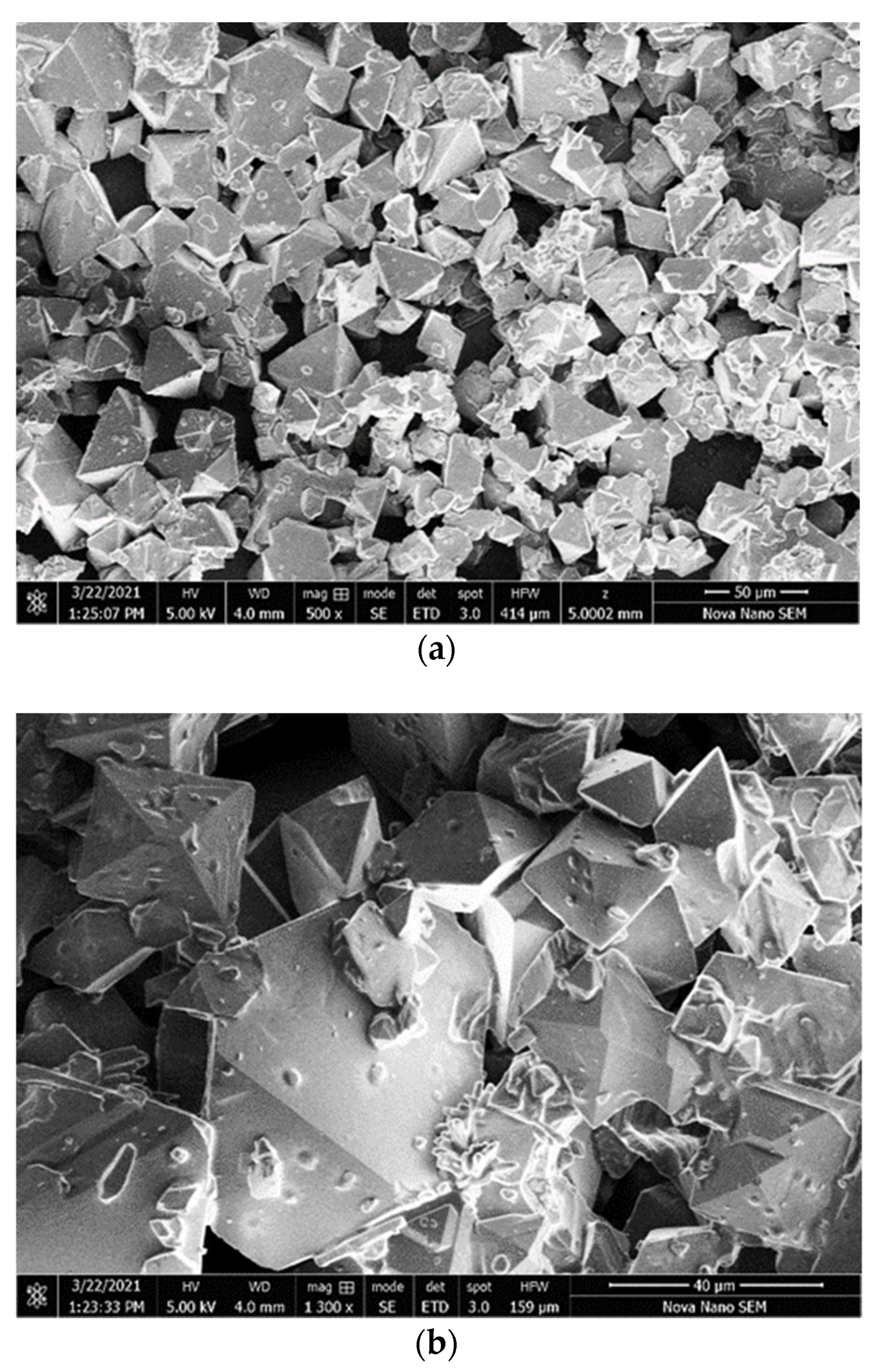 Polymers 13 03336 g006