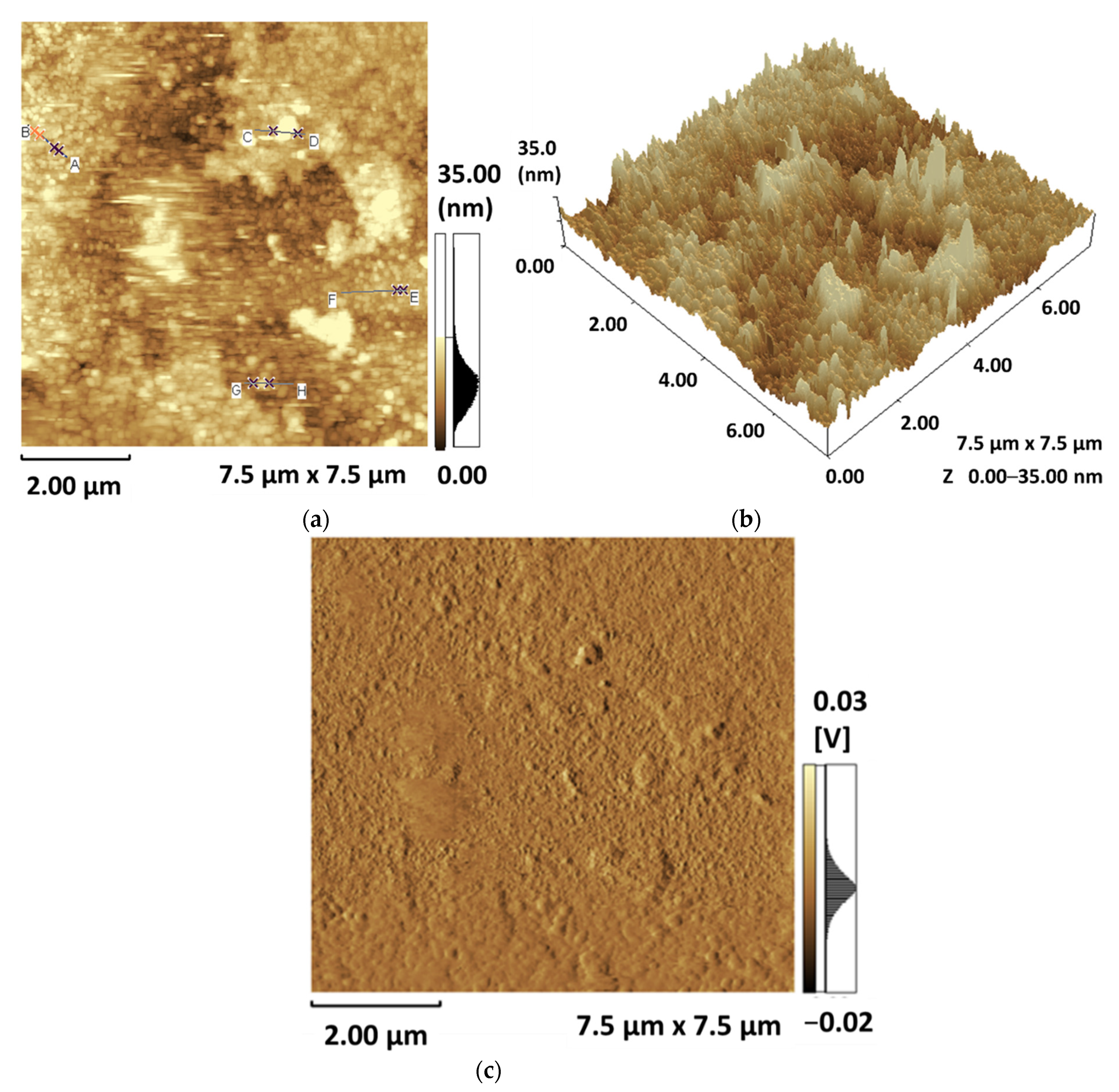 Polymers 13 03336 g007a