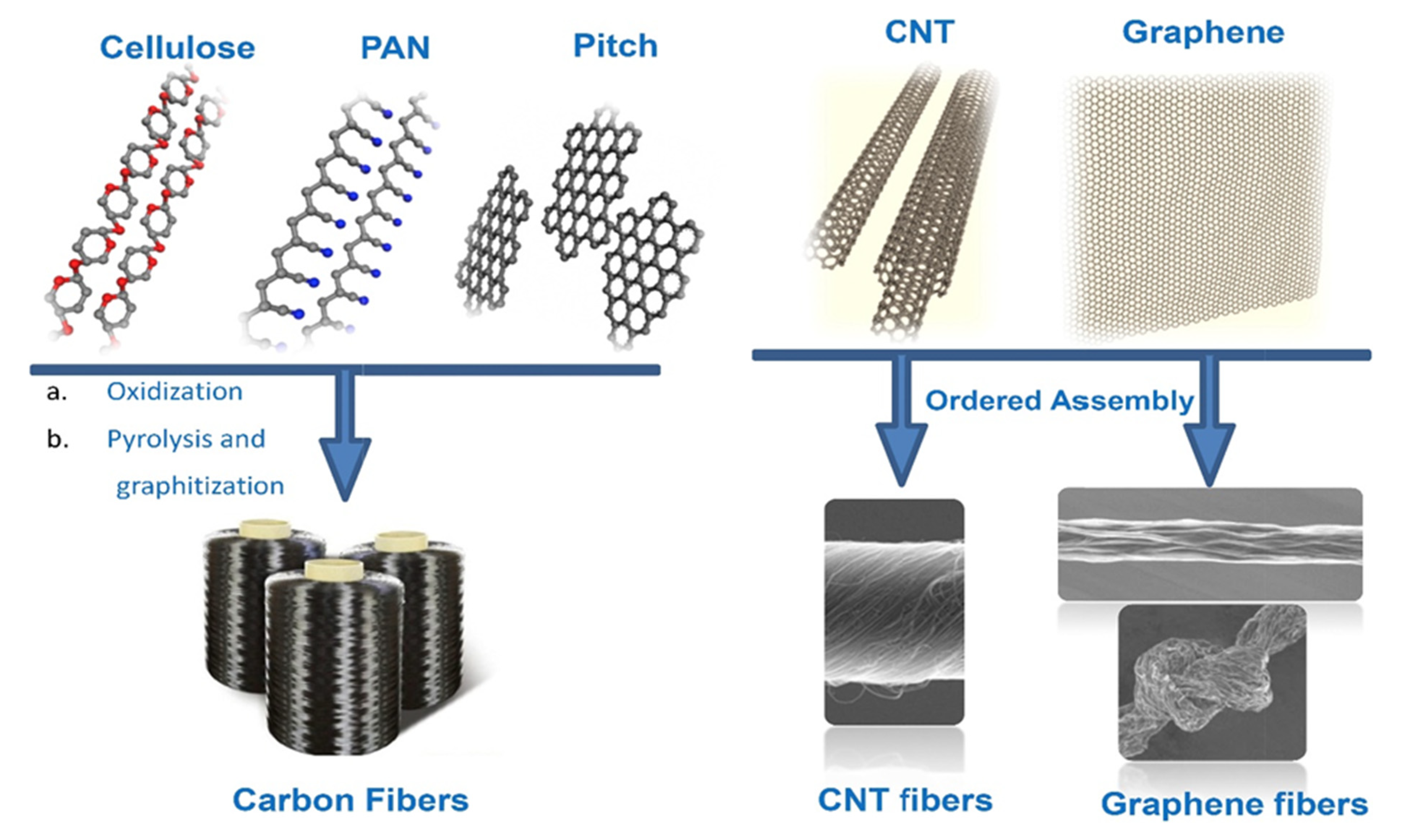 Polymers 13 03337 g010