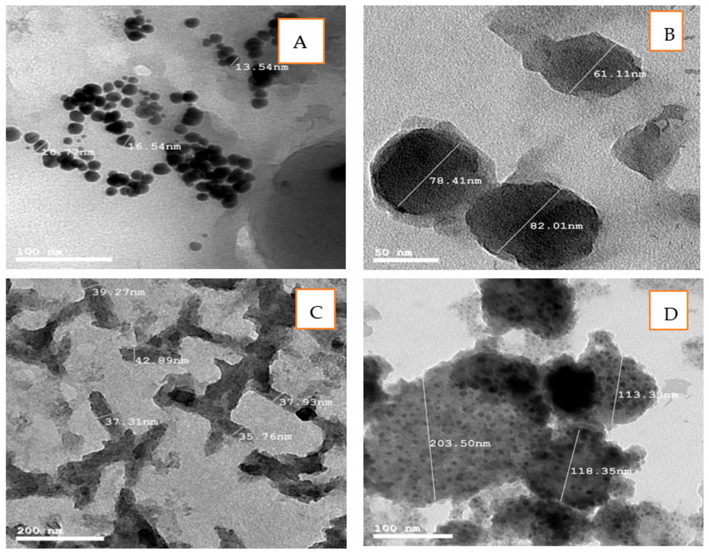 Polymers 13 03340 g002