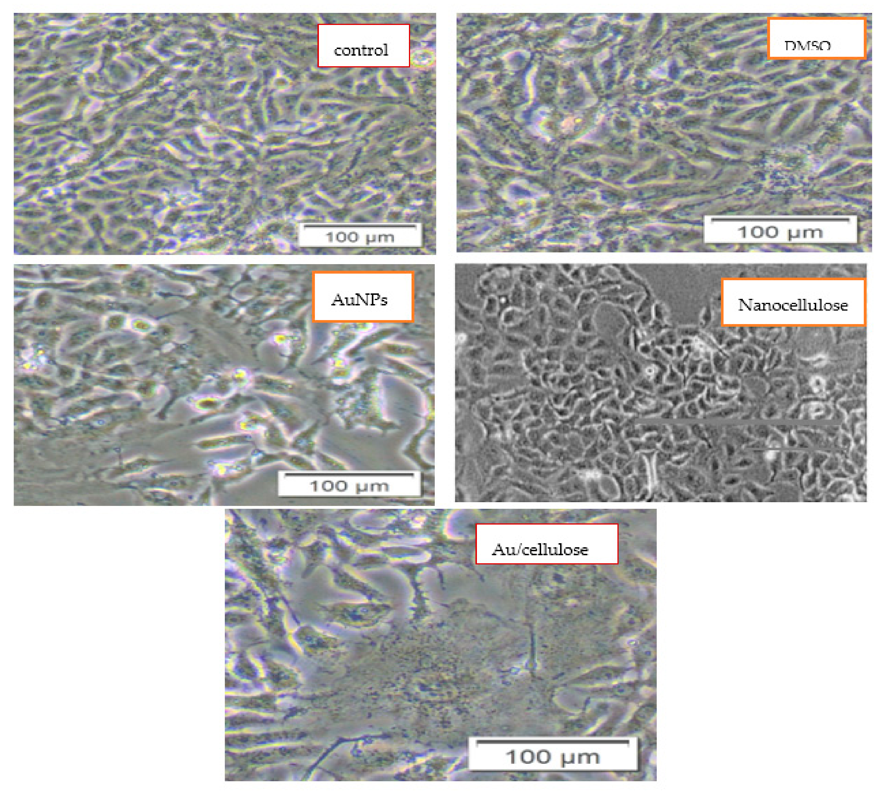 Polymers 13 03340 g005