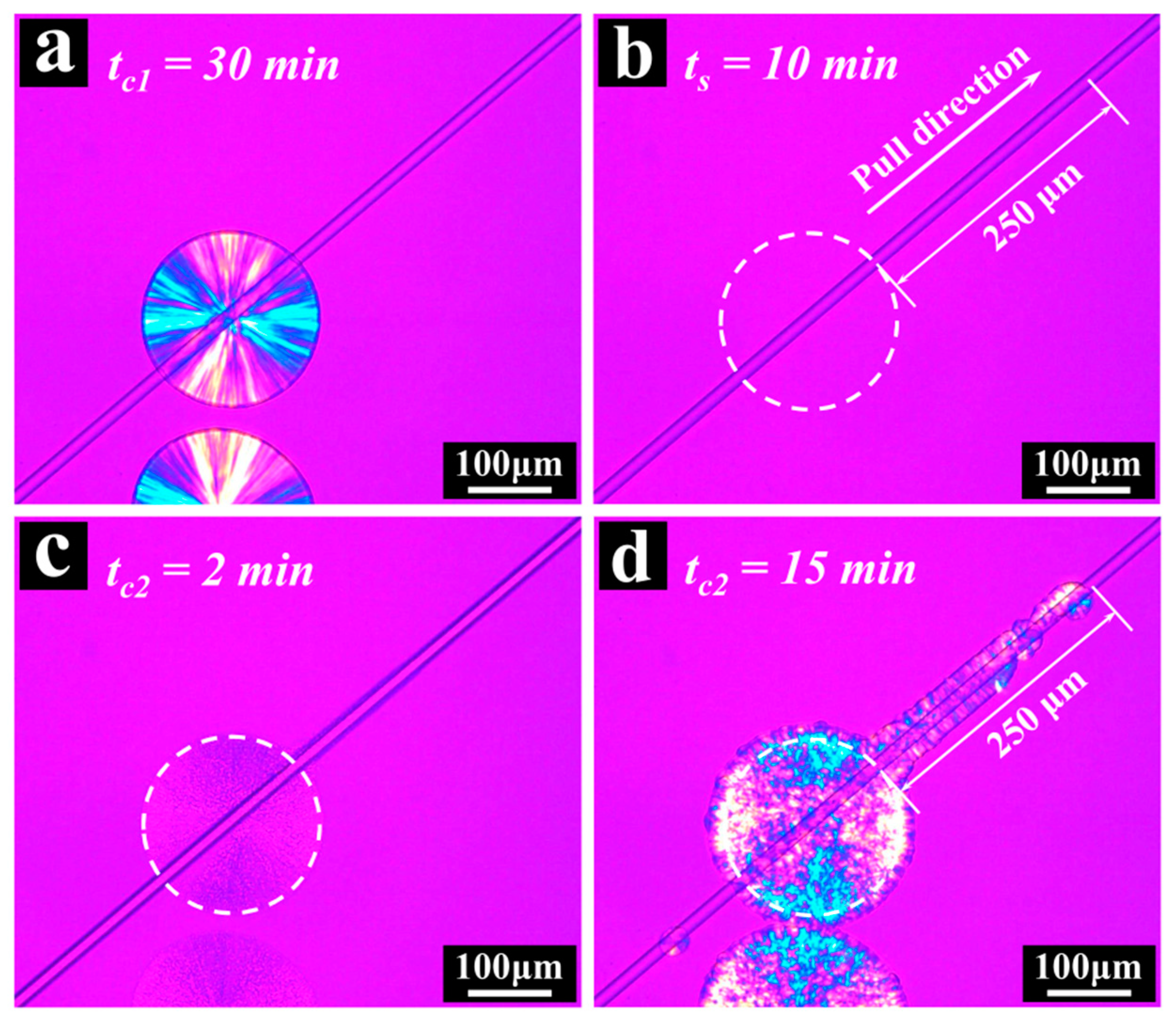 Polymers 13 03354 g002