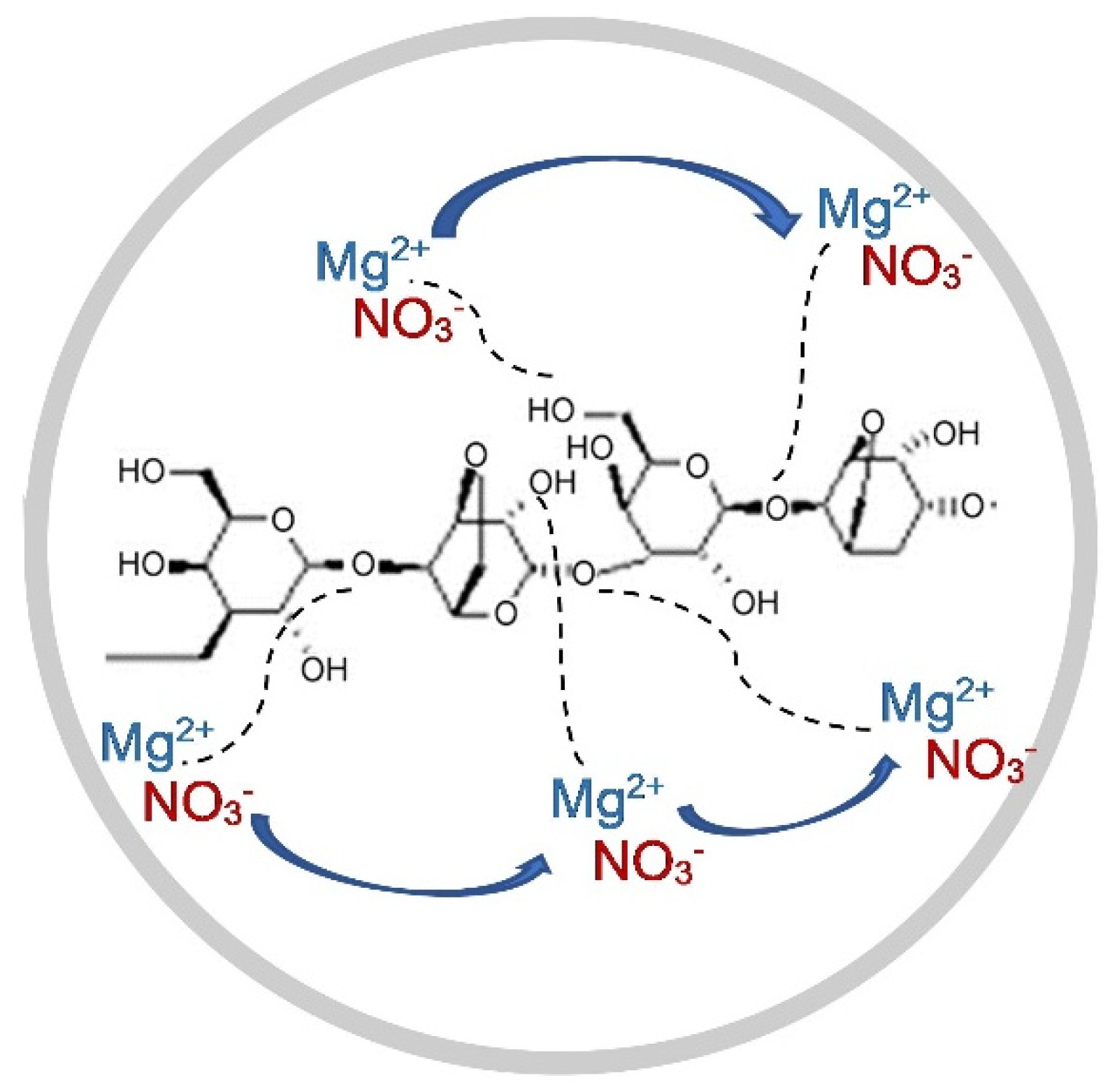 Polymers 13 03357 g007 Polymers 13 03357 g007