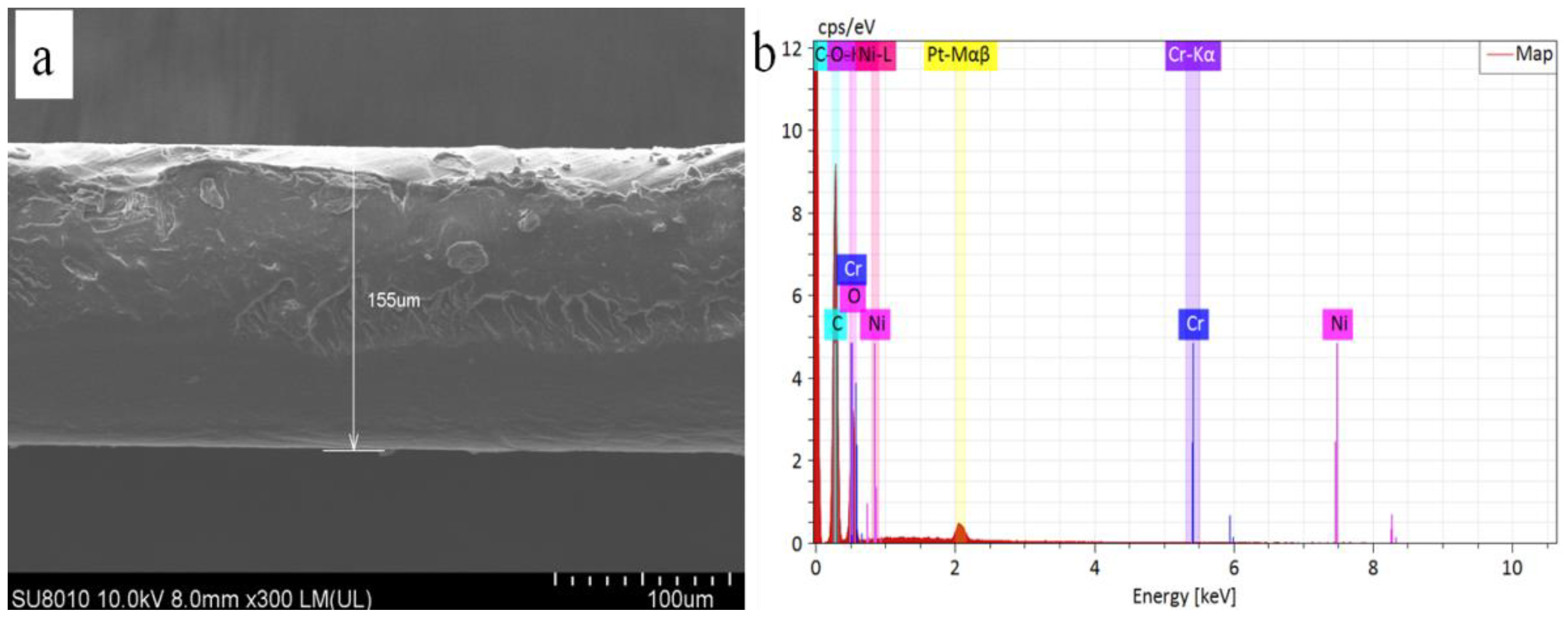 Polymers 13 03377 g001