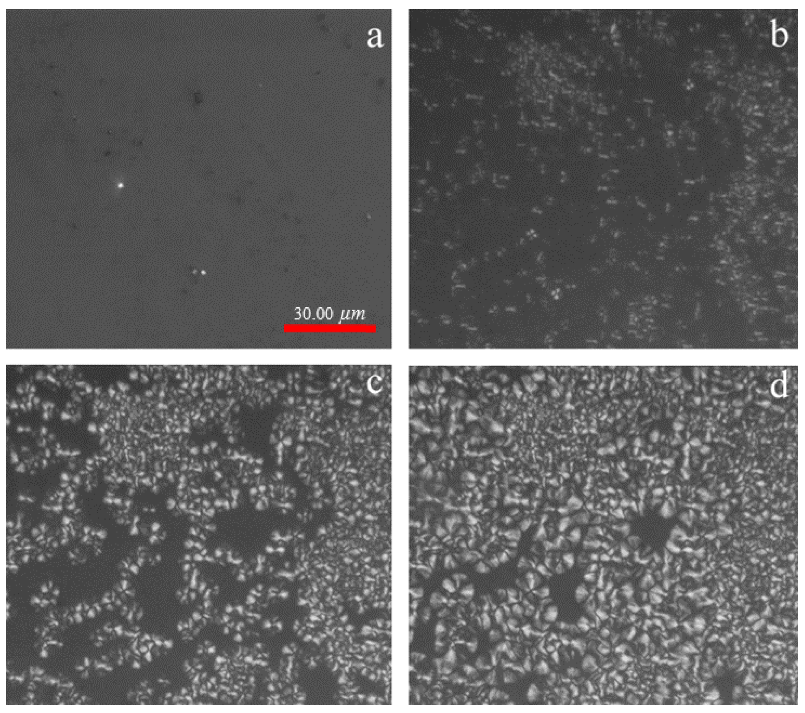 Polymers 13 03377 g003
