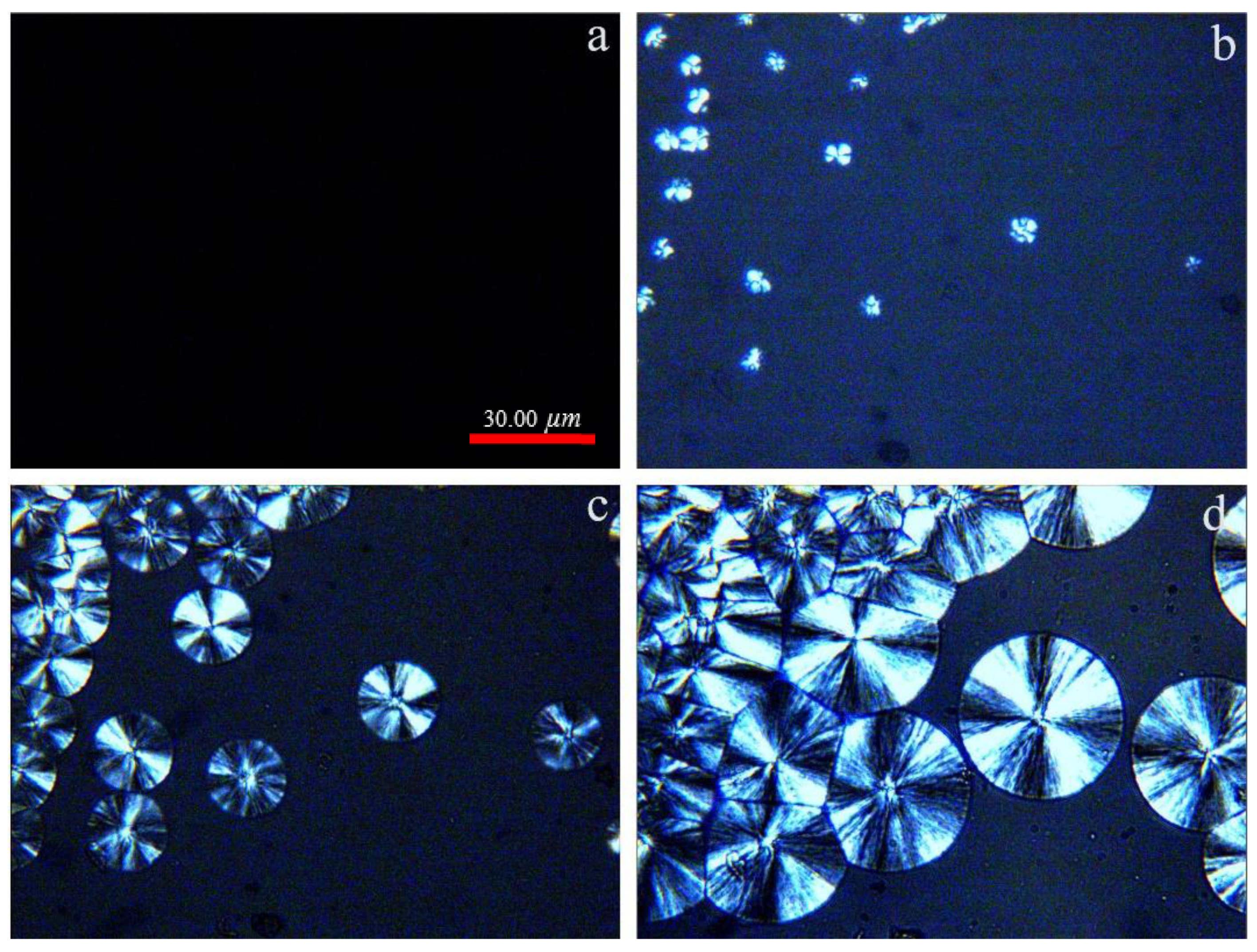Polymers 13 03377 g004