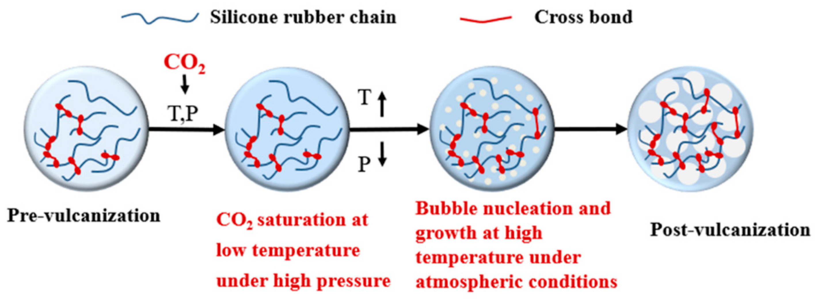 Polymers | Free Full-Text | Effect of Vulcanization and CO2 Plasticization  on Cell Morphology of Silicone Rubber in Temperature Rise Foaming Process