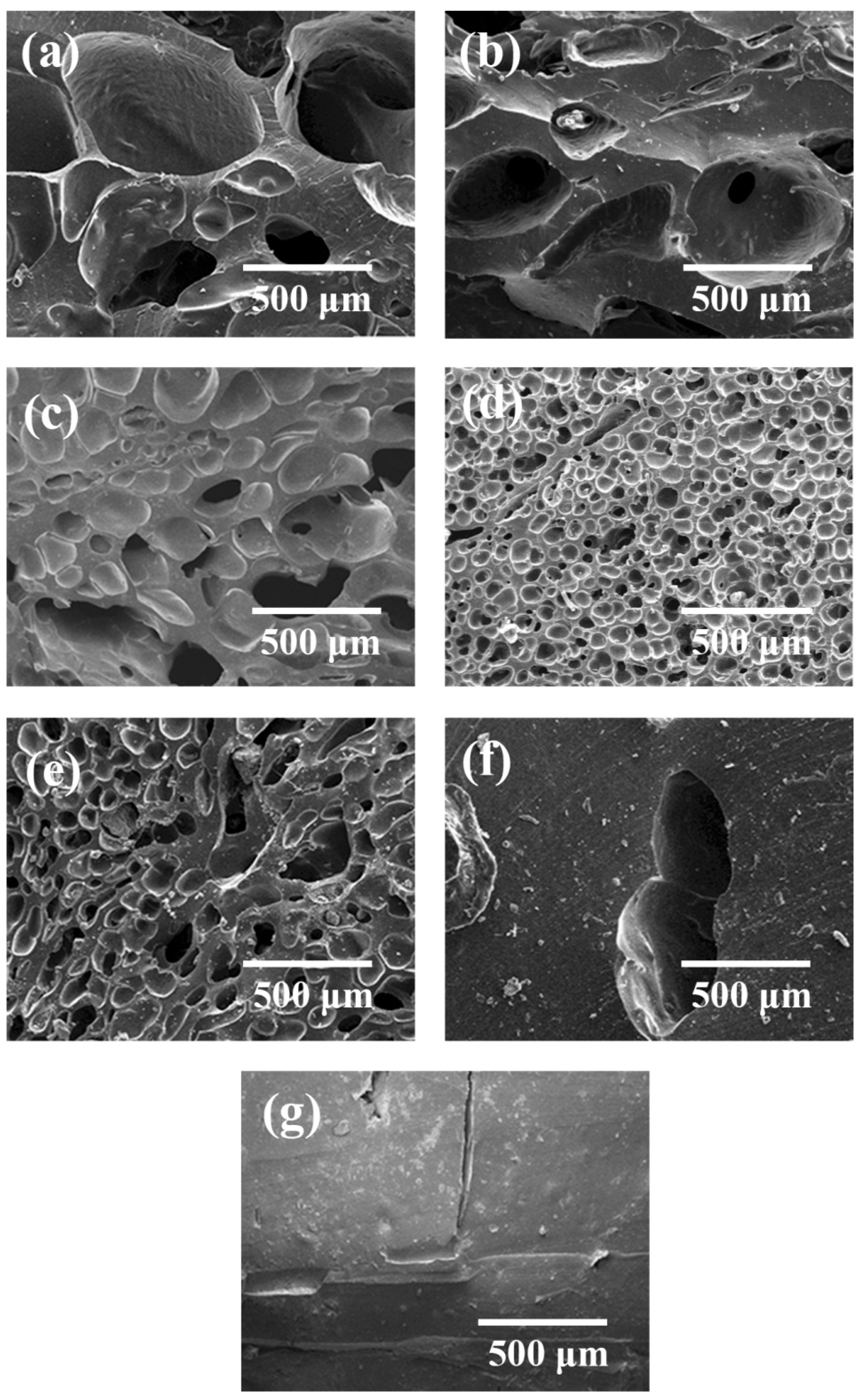 Polymers 13 03384 g003
