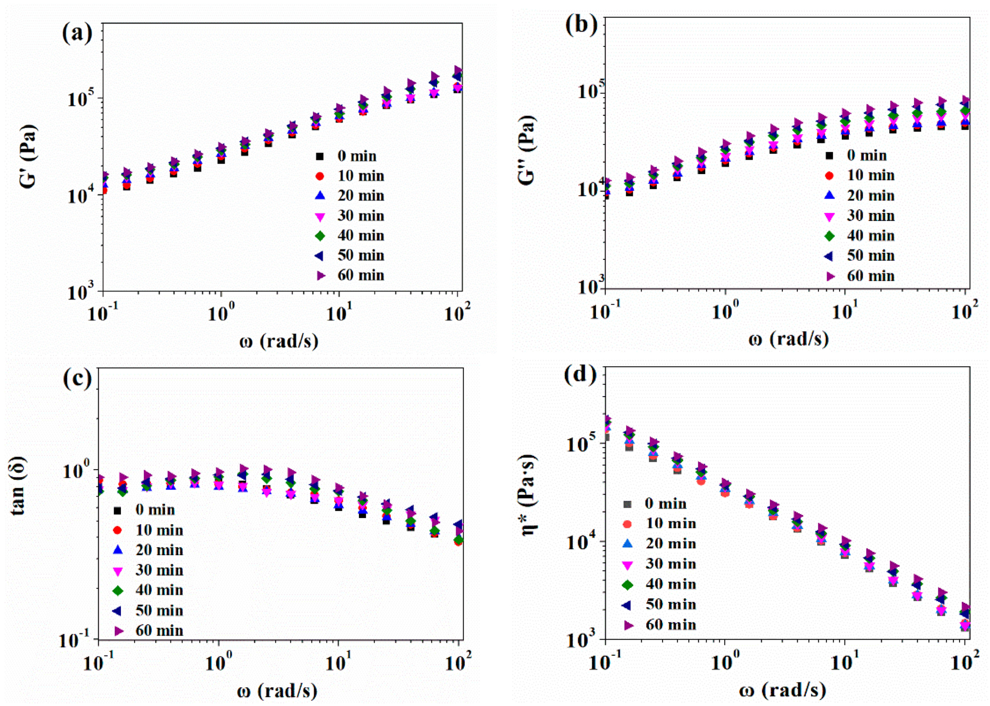 Polymers 13 03384 g004