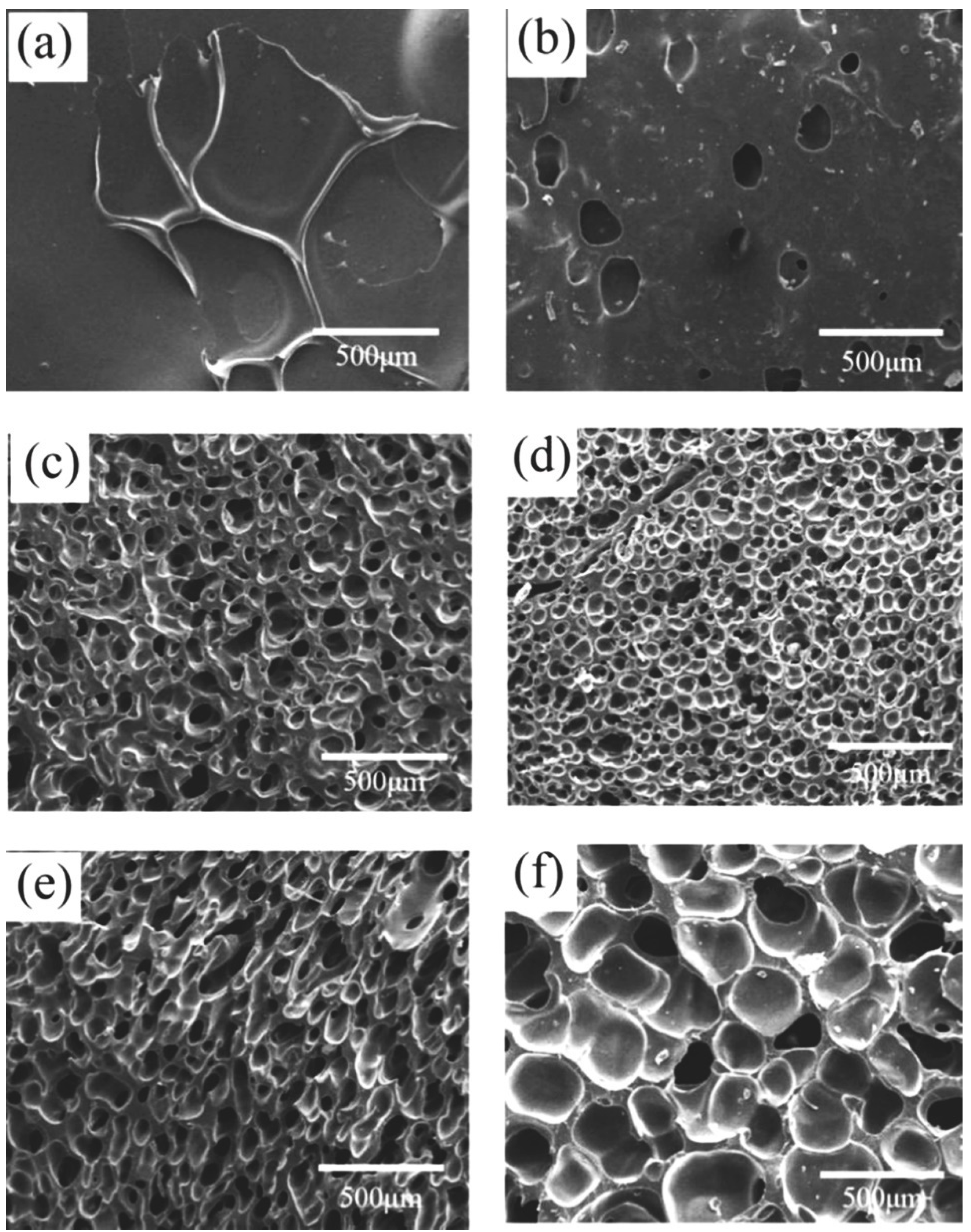 Polymers 13 03384 g007